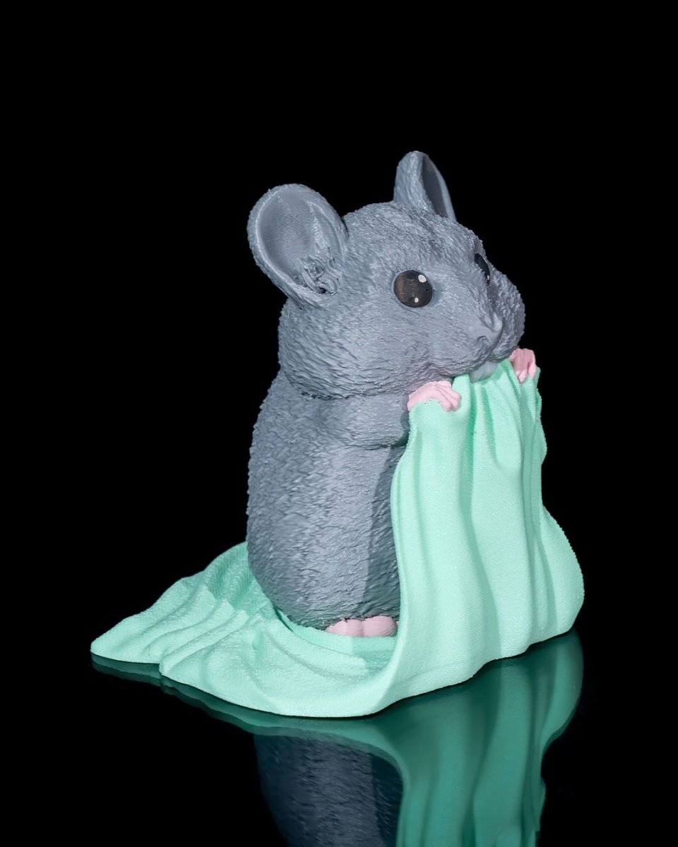 Cute Chilla - The Phynagrin Show