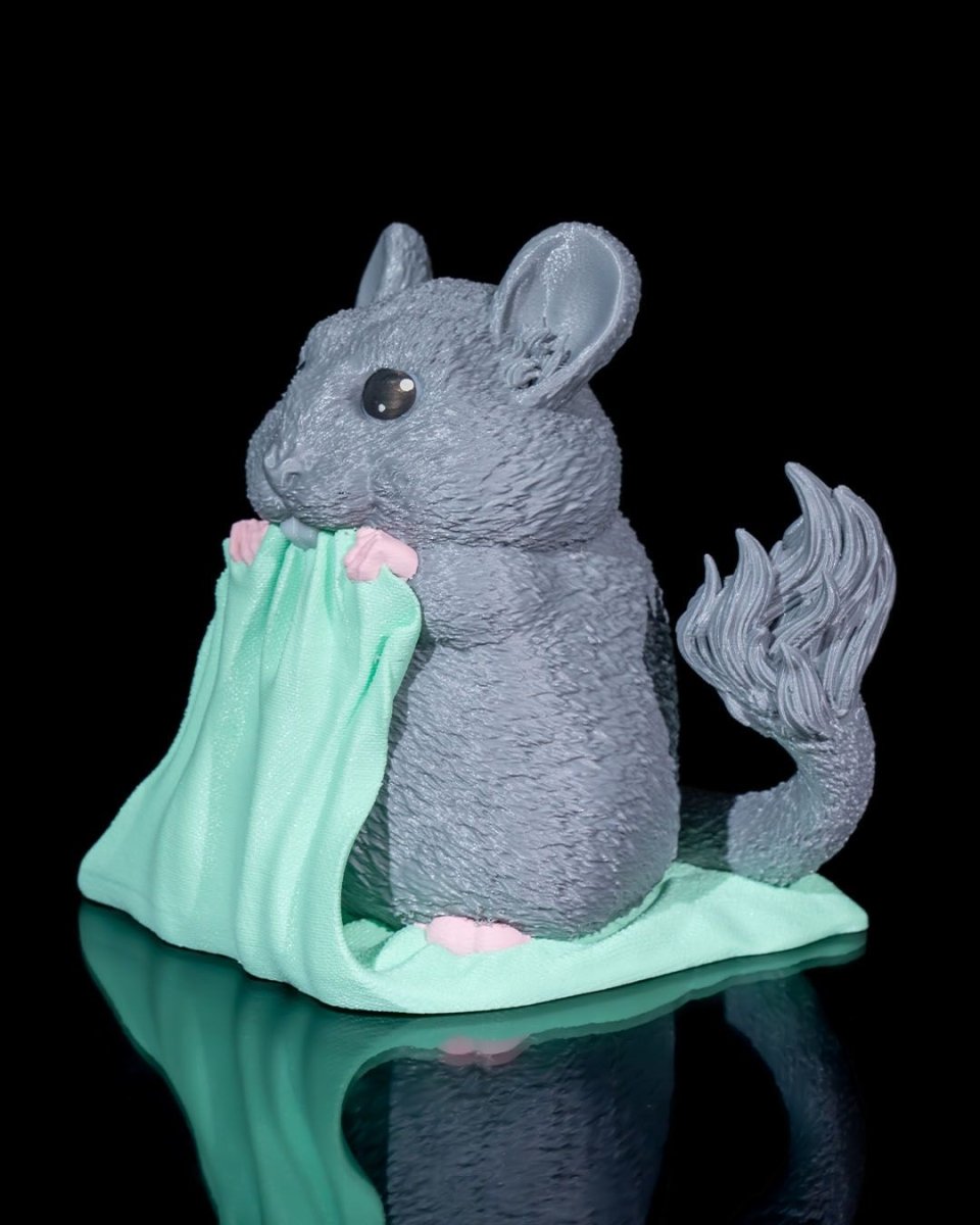 Cute Chilla - The Phynagrin Show