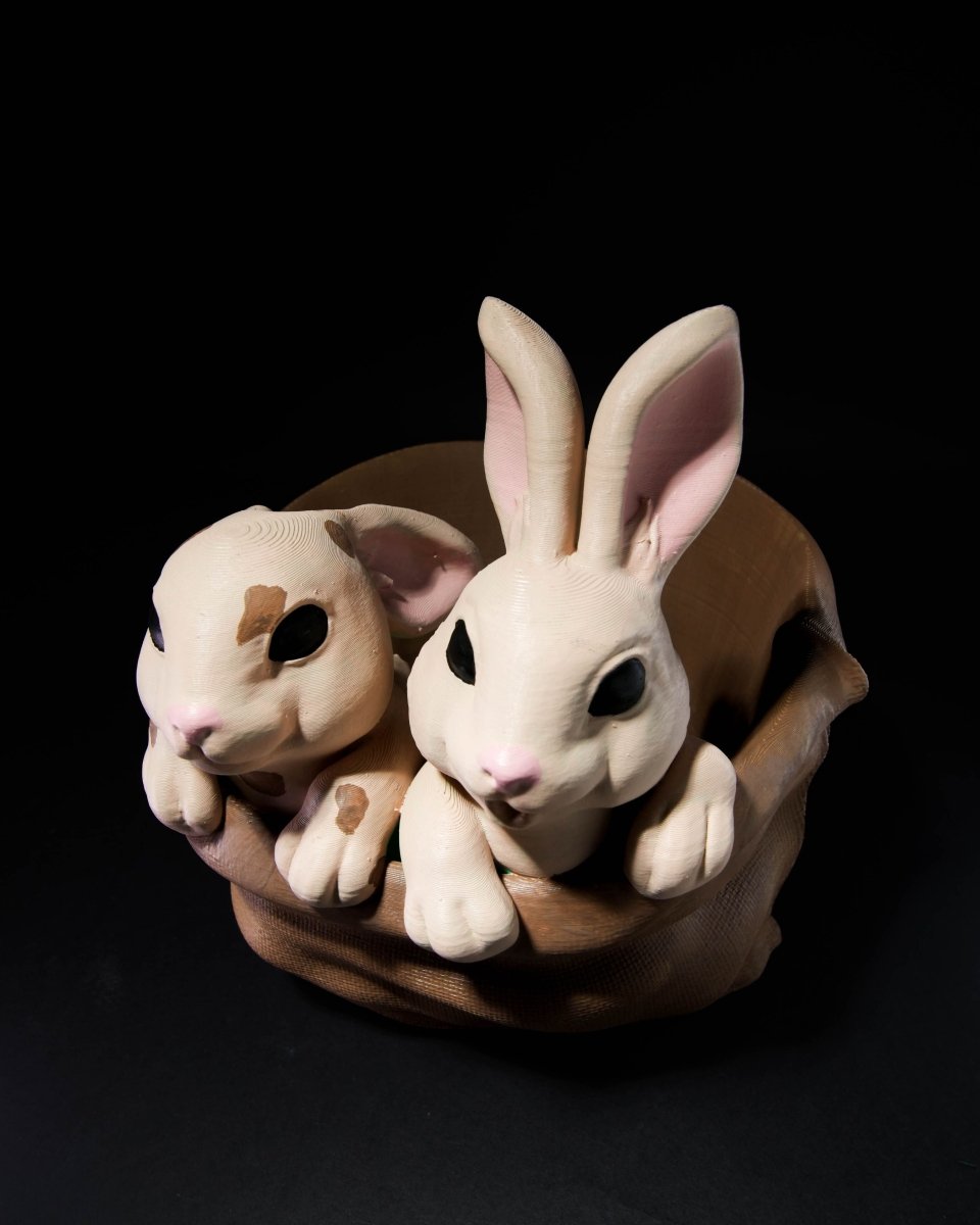 Easter Bunny Baskets - The Phynagrin Show