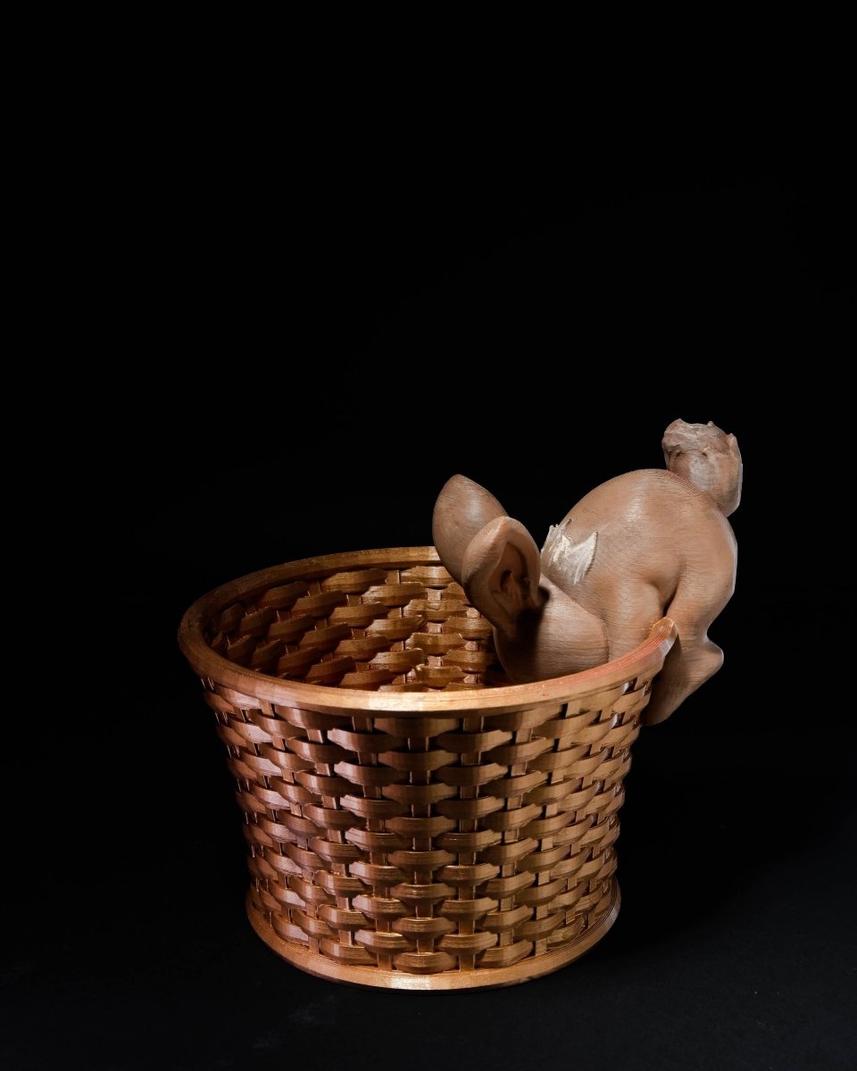 Easter Bunny Baskets - The Phynagrin Show