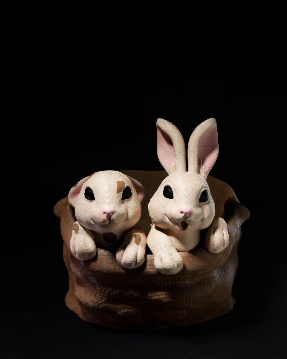 Easter Bunny Baskets - The Phynagrin Show