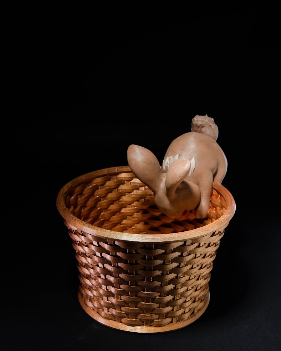 Easter Bunny Baskets - The Phynagrin Show