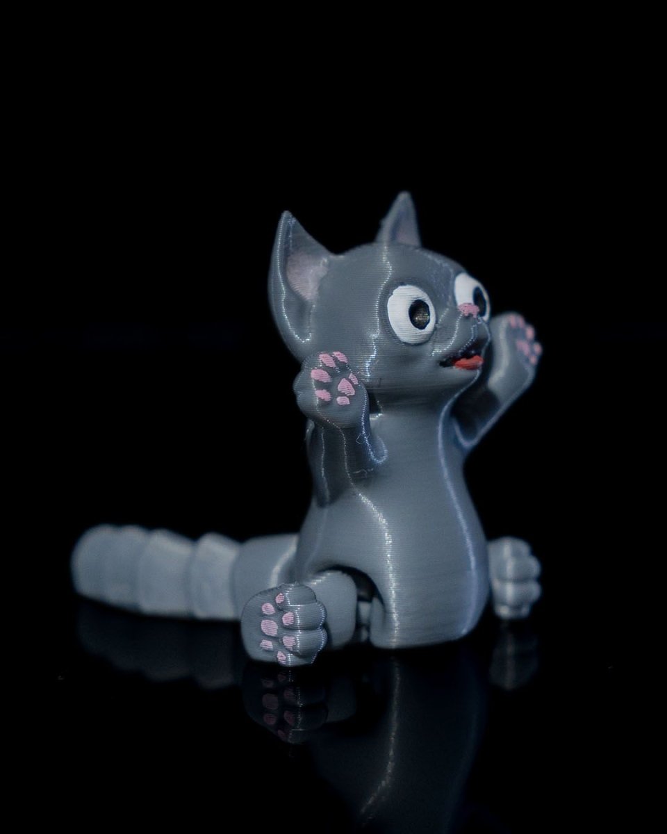 Ghost Kitty and Boo Kitty - The Phynagrin Show