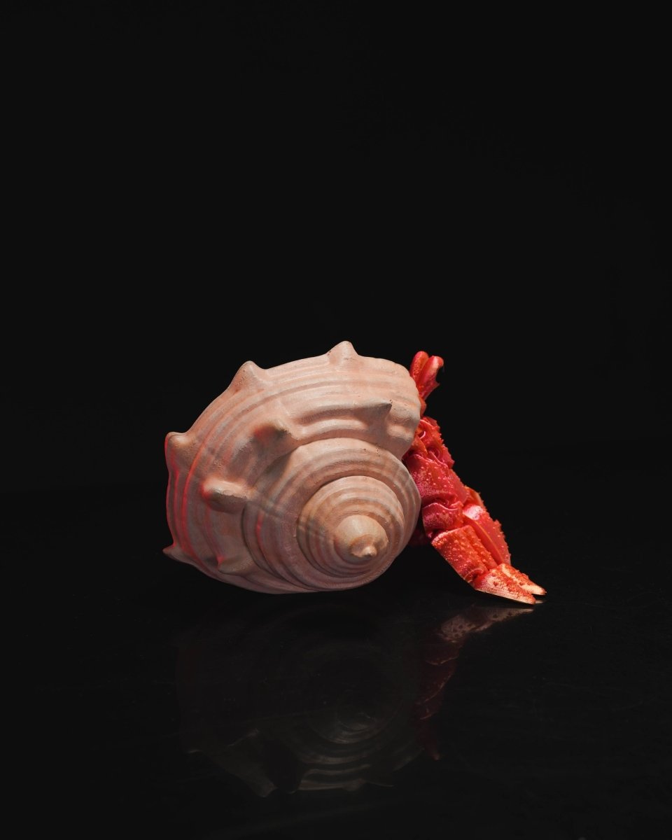 Hermes, the Articulated Hermit Crab - The Phynagrin Show