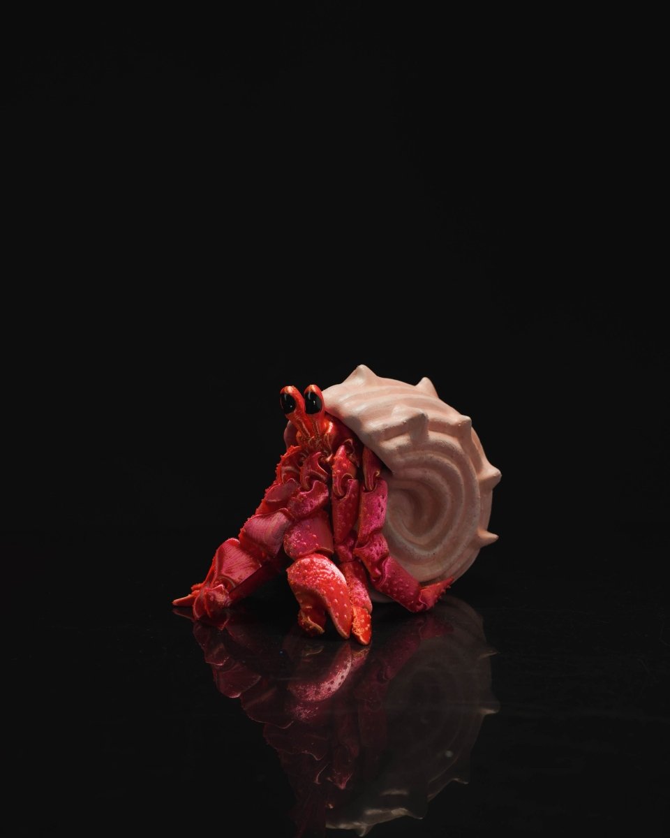 Hermes, the Articulated Hermit Crab - The Phynagrin Show