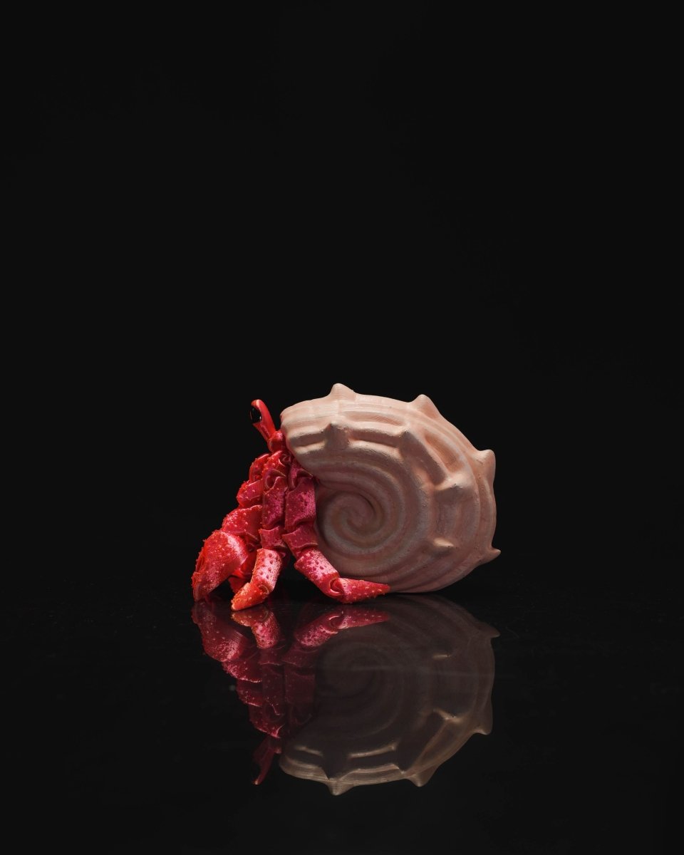 Hermes, the Articulated Hermit Crab - The Phynagrin Show