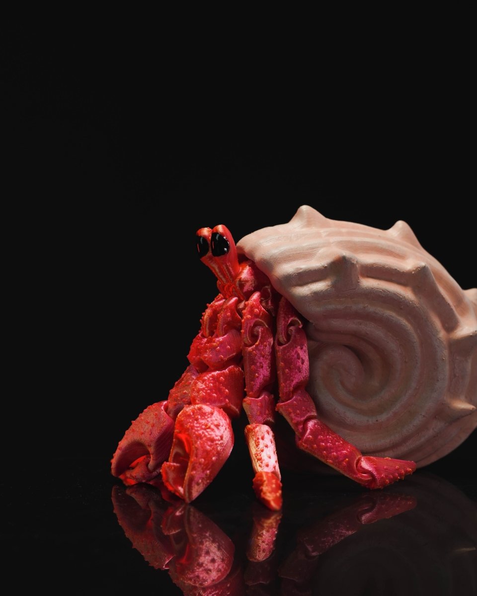 Hermes, the Articulated Hermit Crab - The Phynagrin Show
