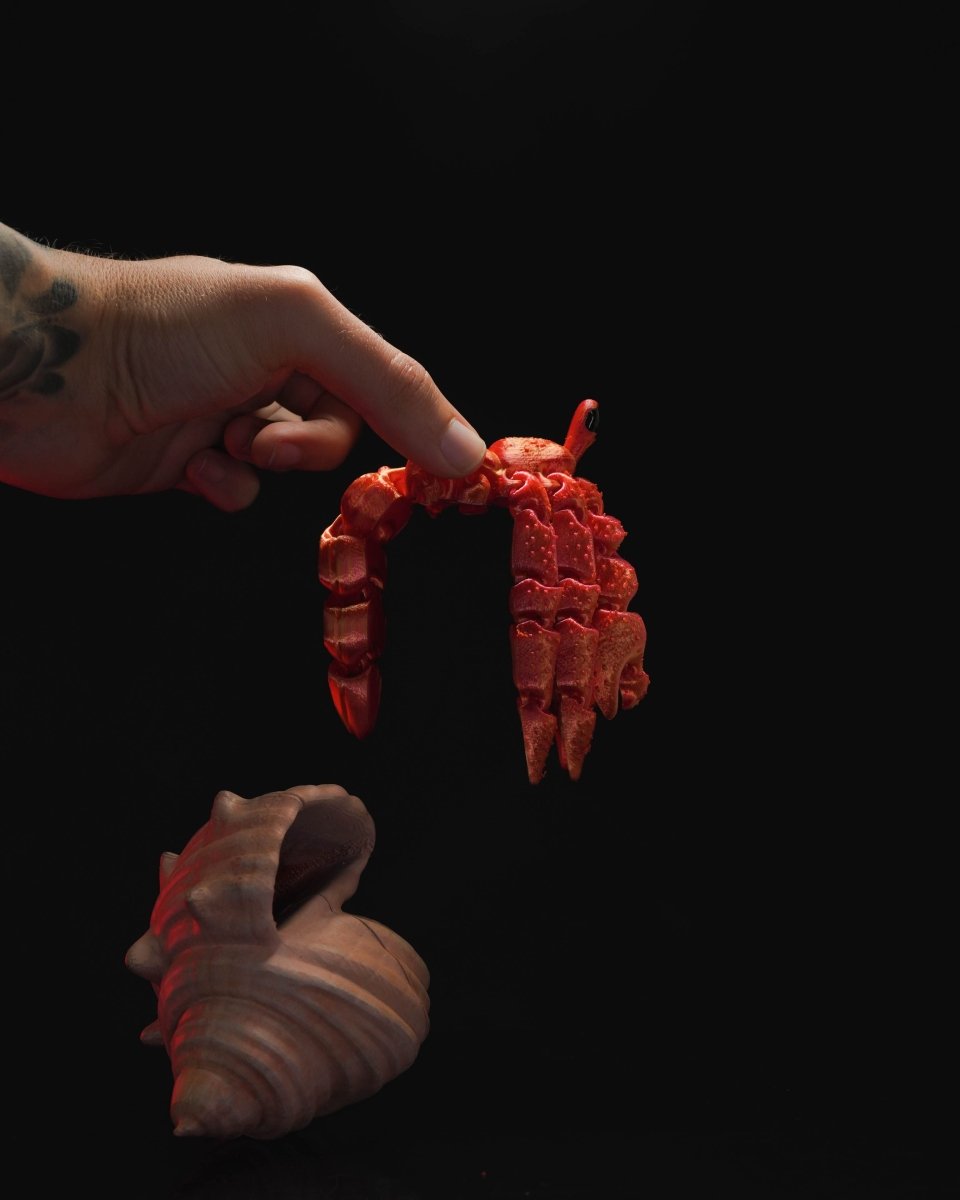 Hermes, the Articulated Hermit Crab - The Phynagrin Show