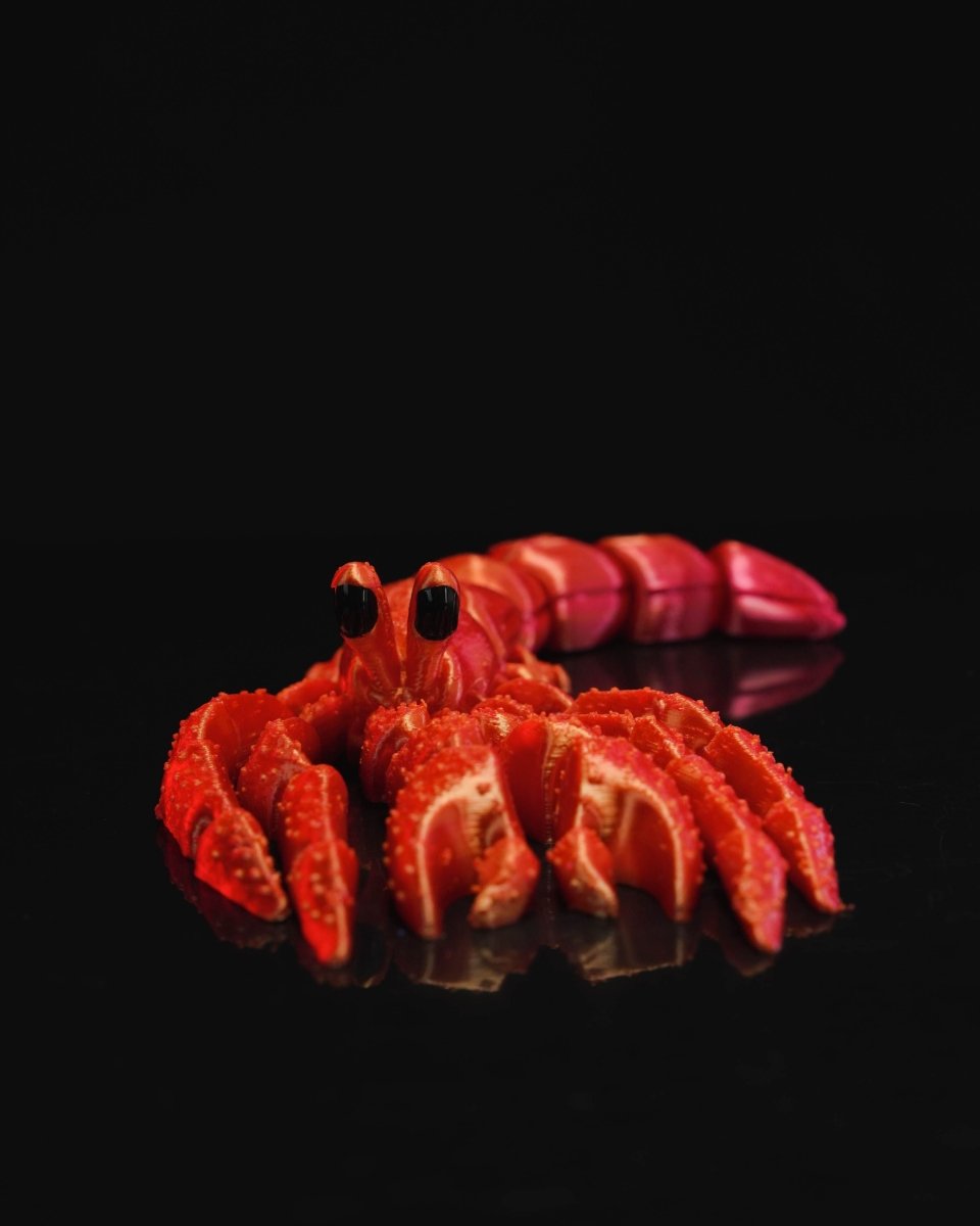 Hermes, the Articulated Hermit Crab - The Phynagrin Show