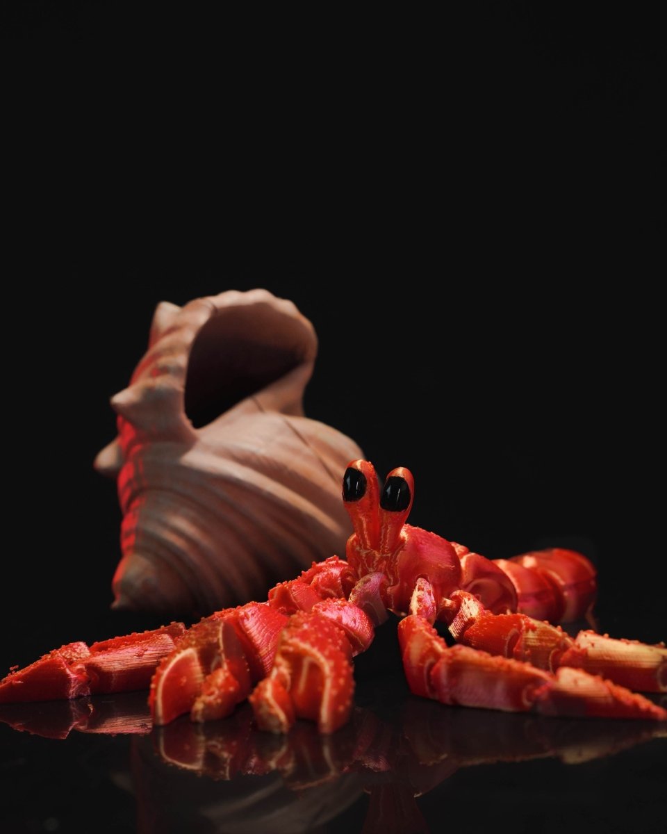 Hermes, the Articulated Hermit Crab - The Phynagrin Show
