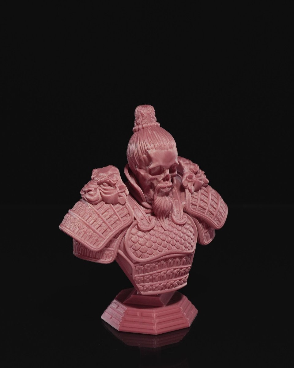 Jian Warrior Bust - The Phynagrin Show