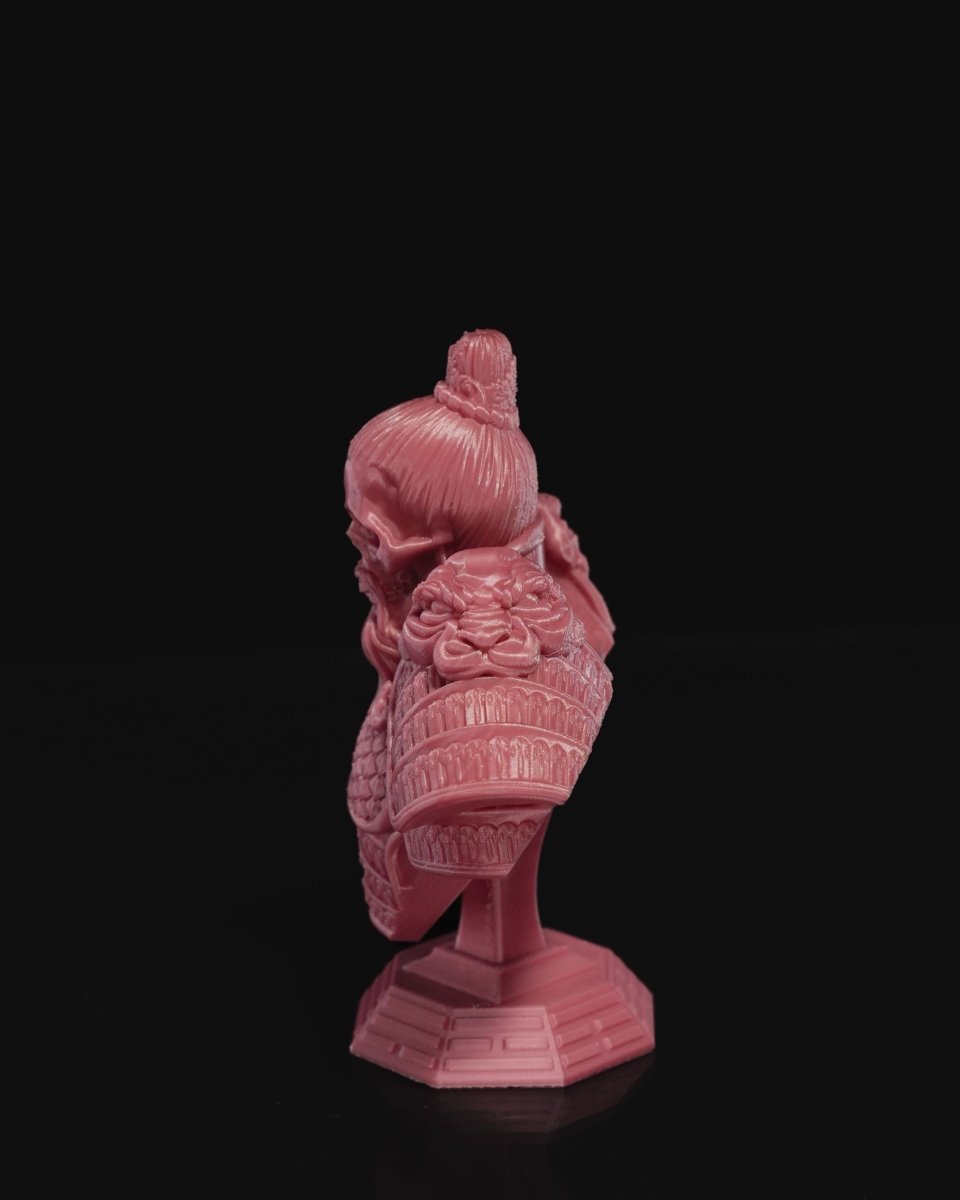 Jian Warrior Bust - The Phynagrin Show