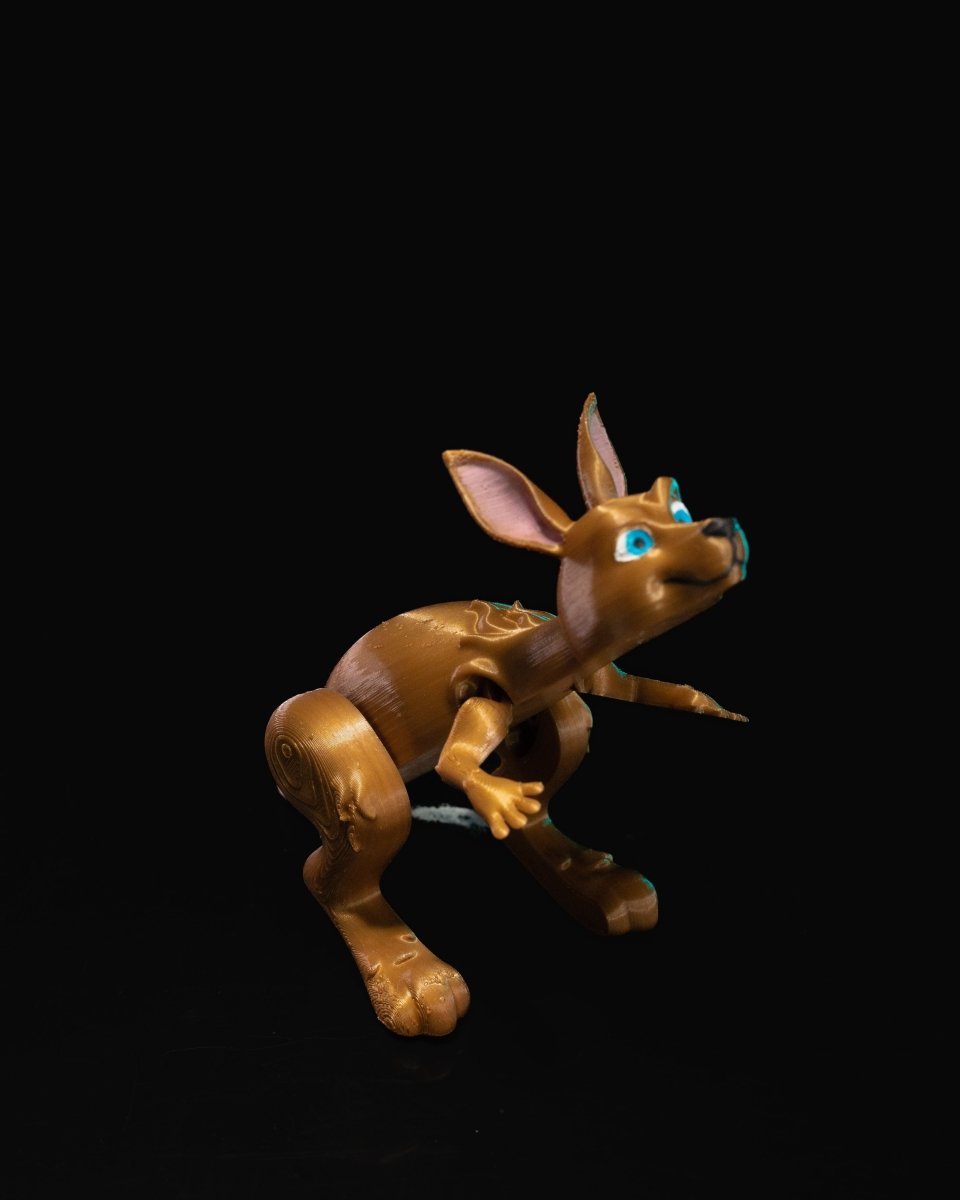 Kangaroo Jumper - The Phynagrin Show
