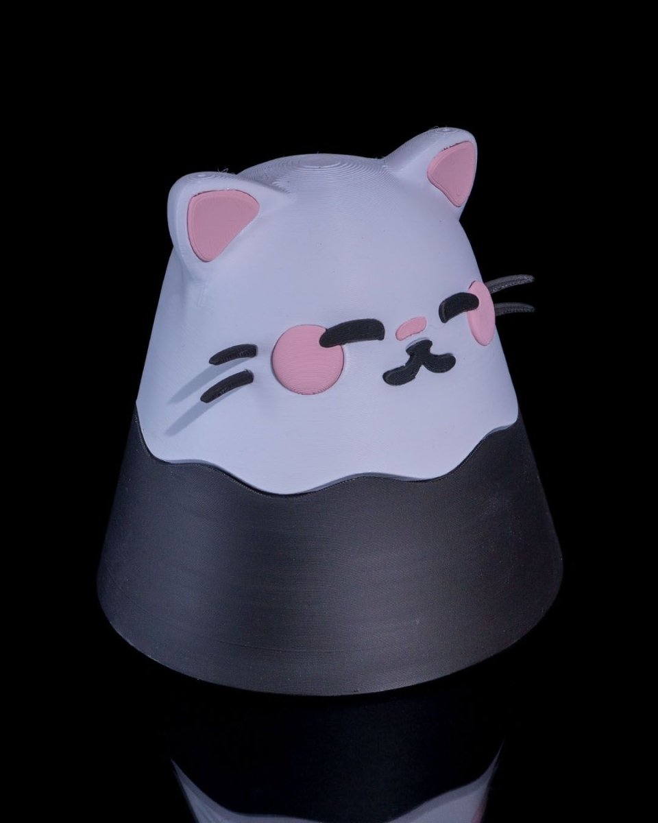 Kawaii Cat Loot Box - The Phynagrin Show