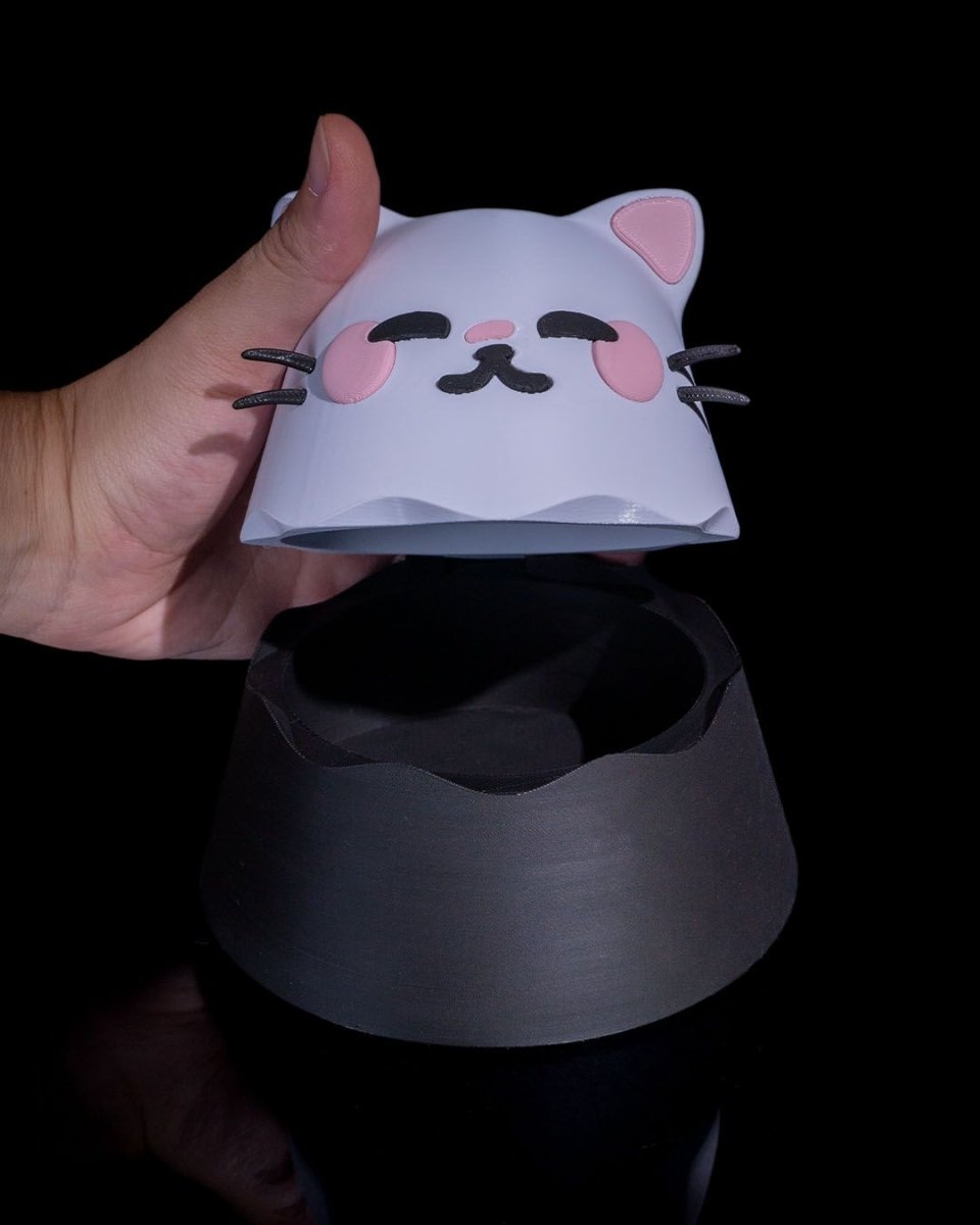 Kawaii Cat Loot Box - The Phynagrin Show