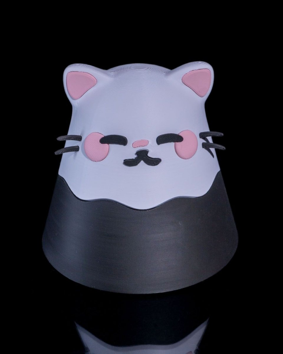 Kawaii Cat Loot Box - The Phynagrin Show