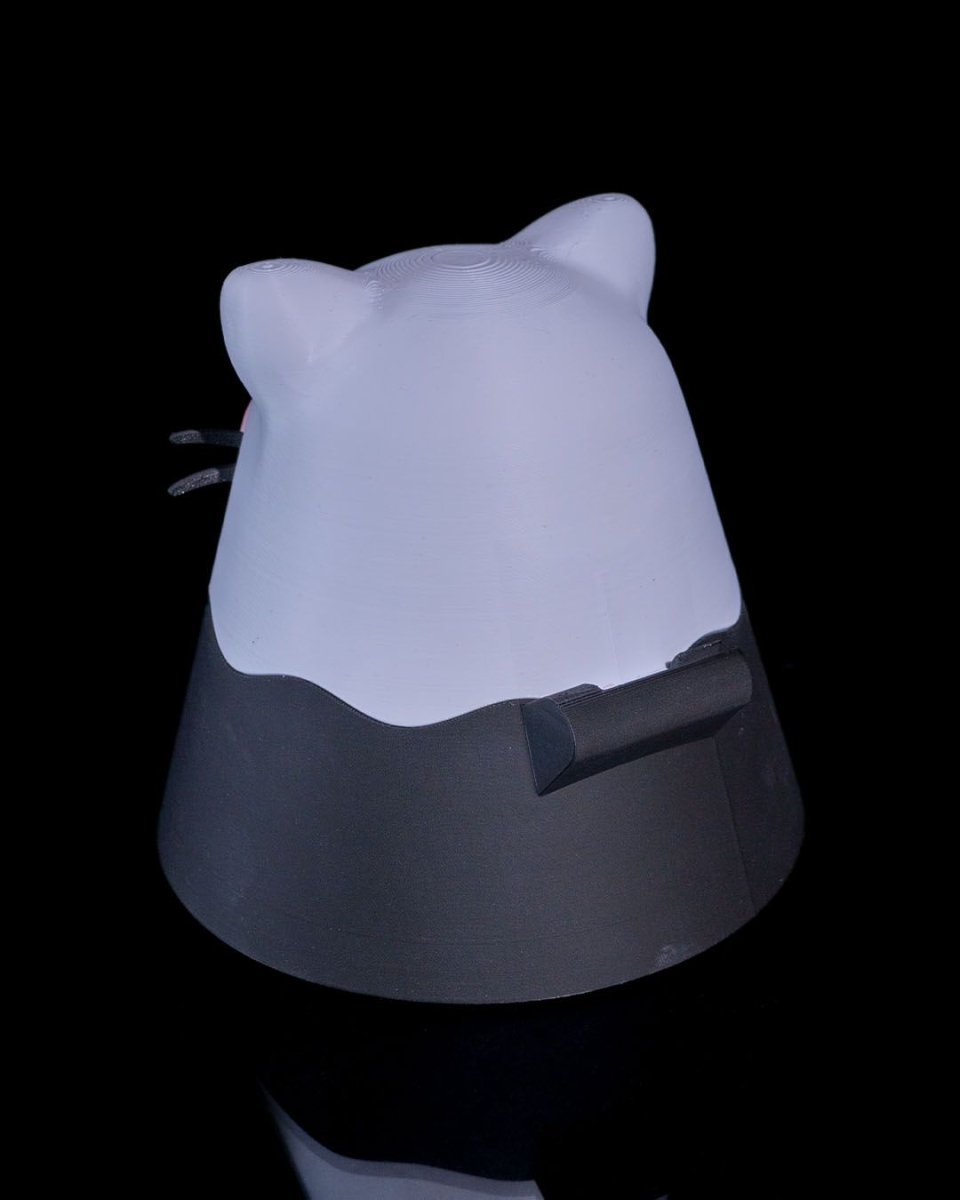 Kawaii Cat Loot Box - The Phynagrin Show