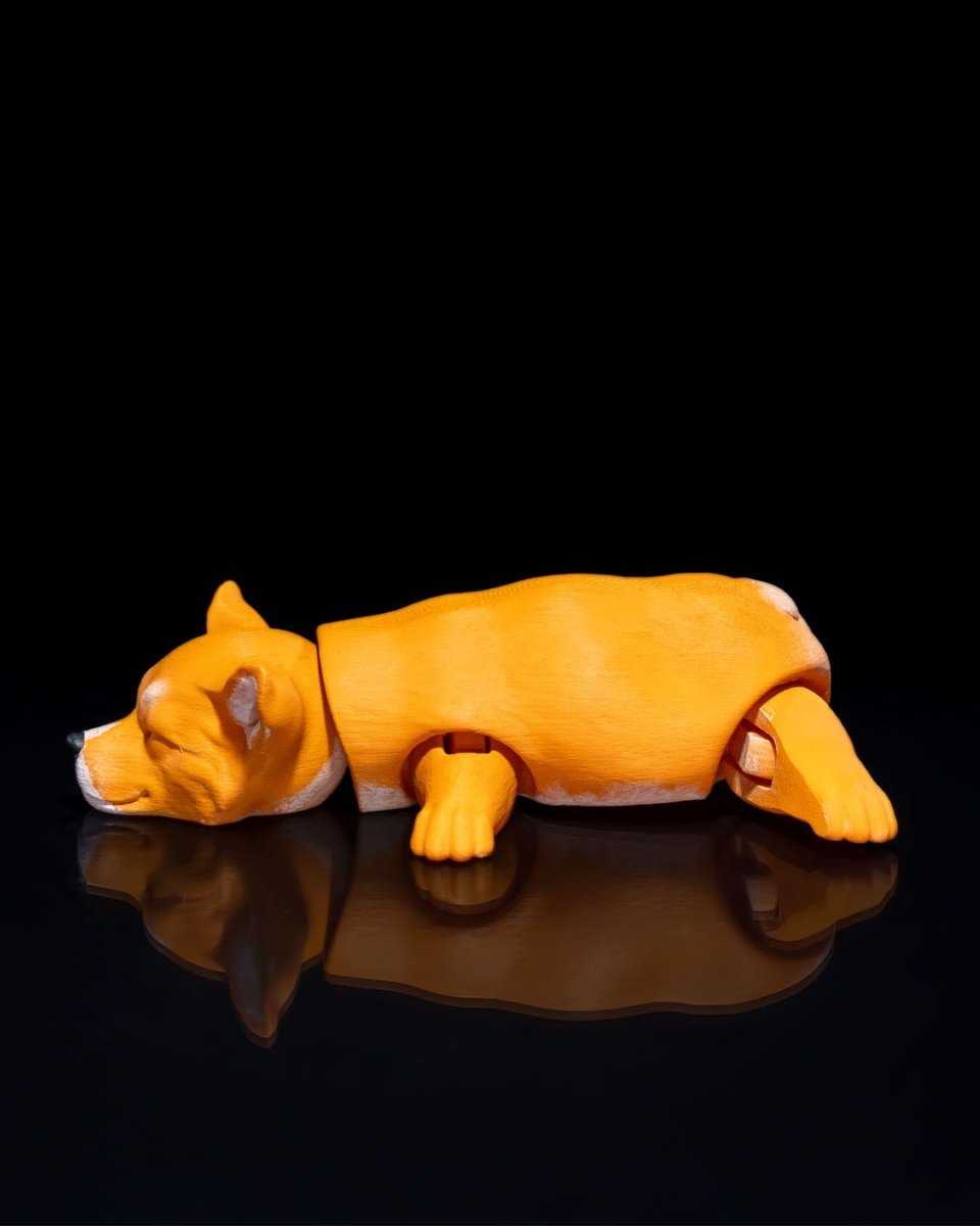 Pembroke Welsh Corgi - The Phynagrin Show