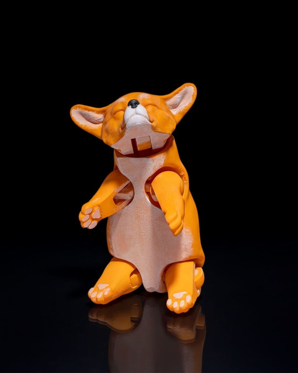 Pembroke Welsh Corgi - The Phynagrin Show