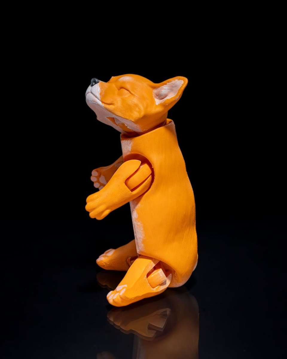 Pembroke Welsh Corgi - The Phynagrin Show