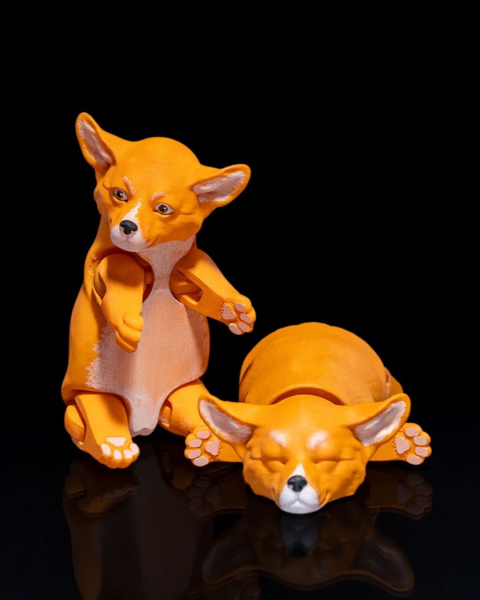 Pembroke Welsh Corgi - The Phynagrin Show