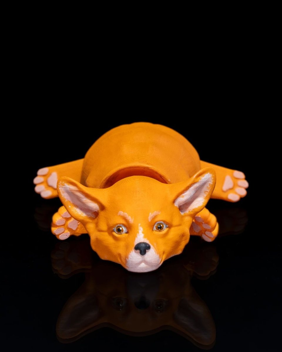 Pembroke Welsh Corgi - The Phynagrin Show