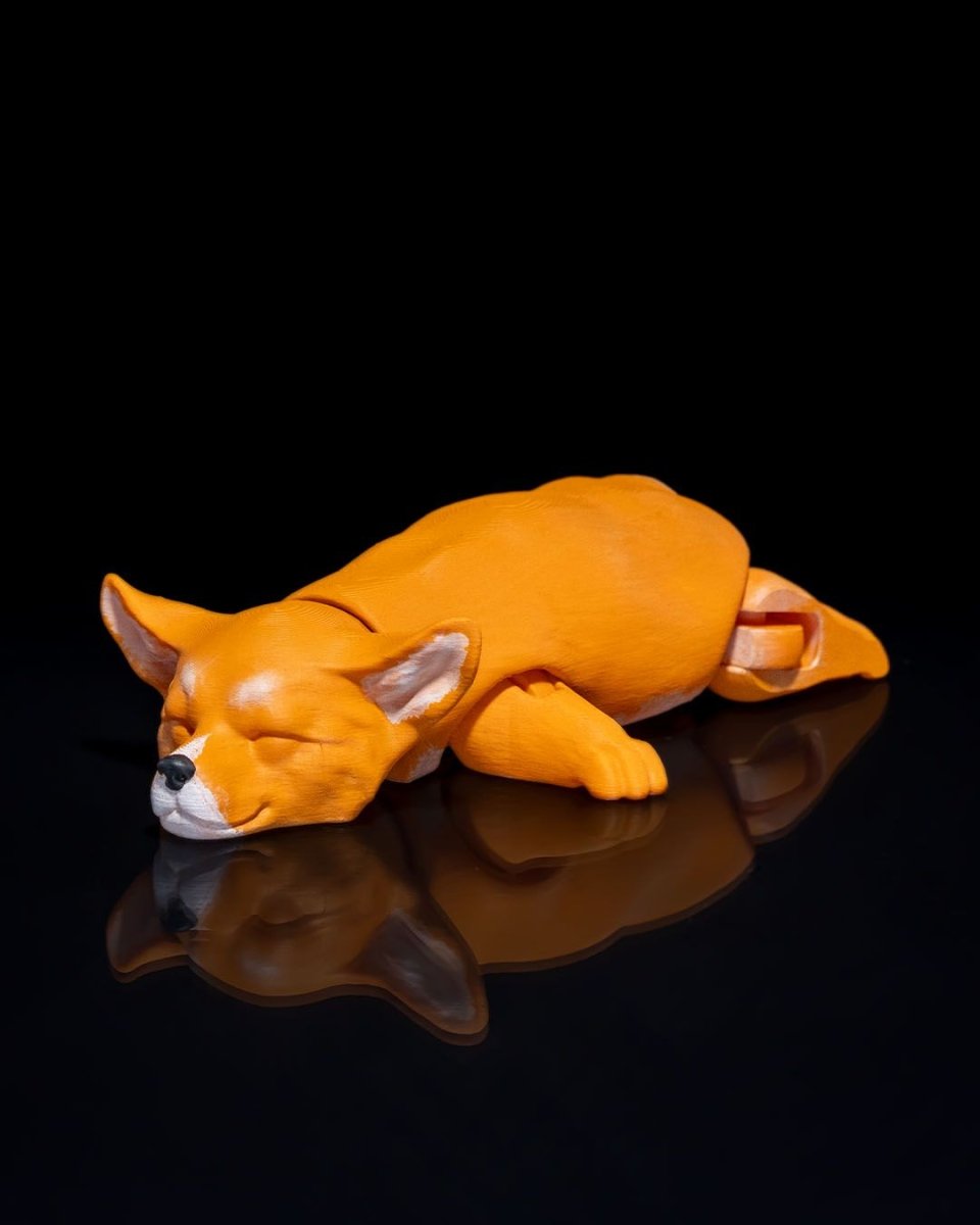 Pembroke Welsh Corgi - The Phynagrin Show