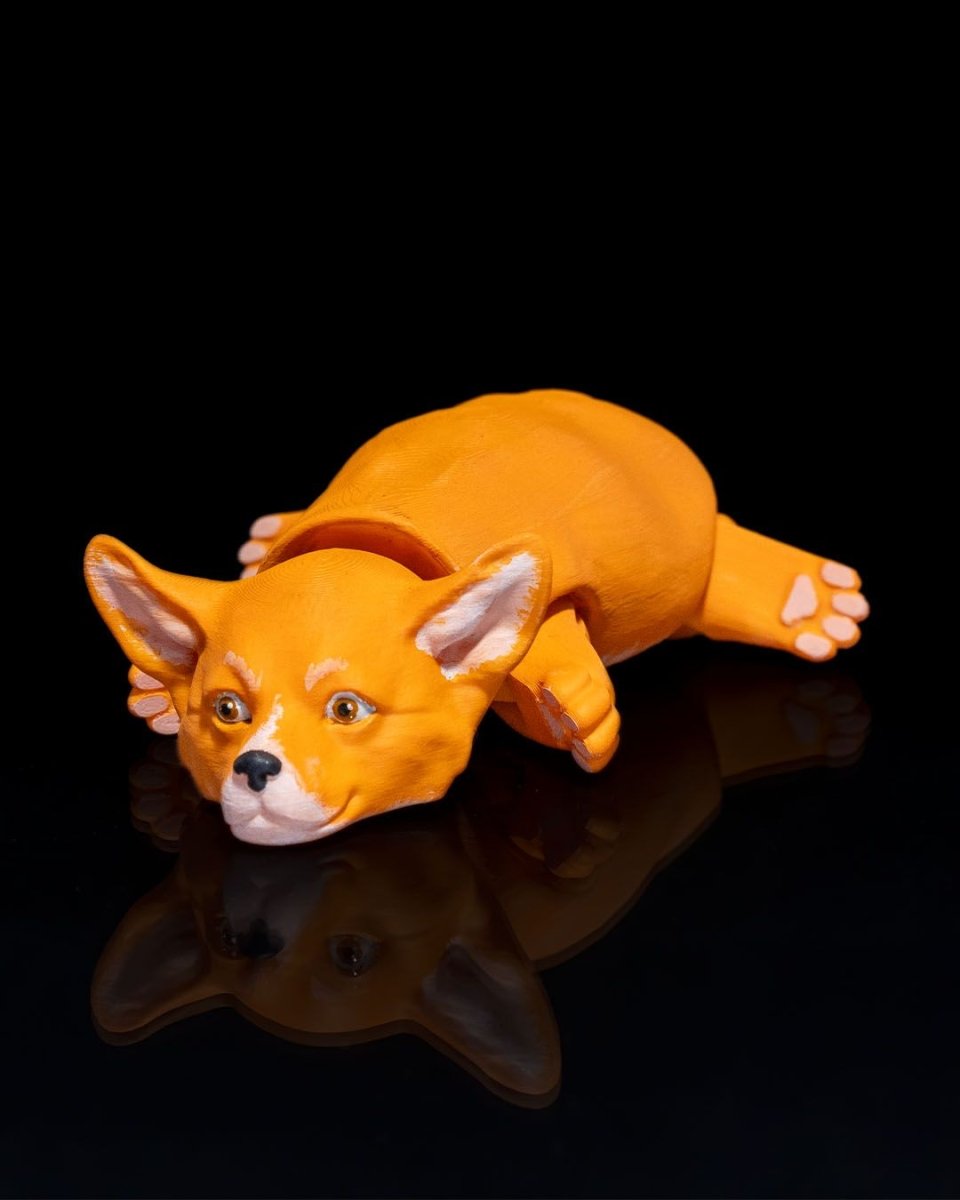 Pembroke Welsh Corgi - The Phynagrin Show
