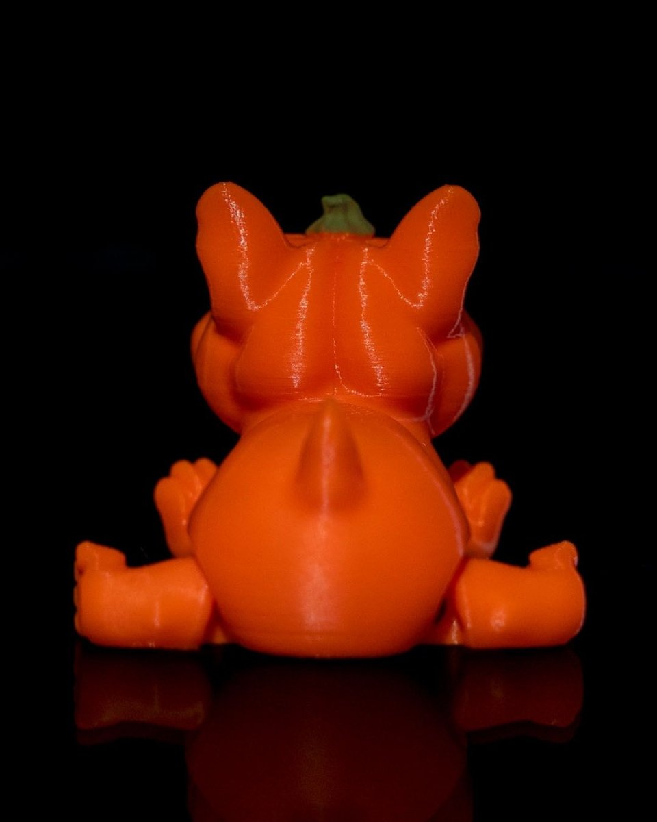 Pumpkin Dog - The Phynagrin Show