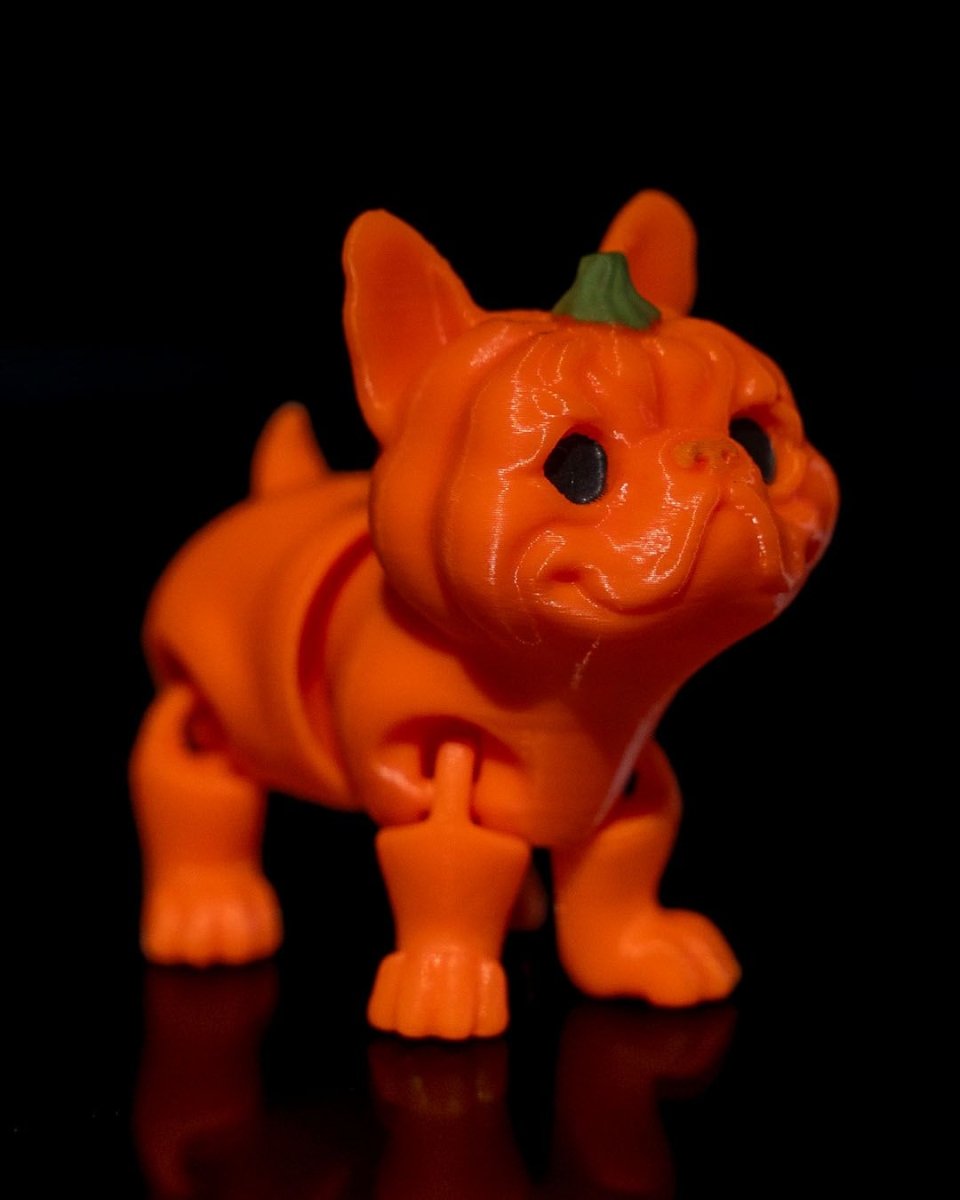 Pumpkin Dog - The Phynagrin Show