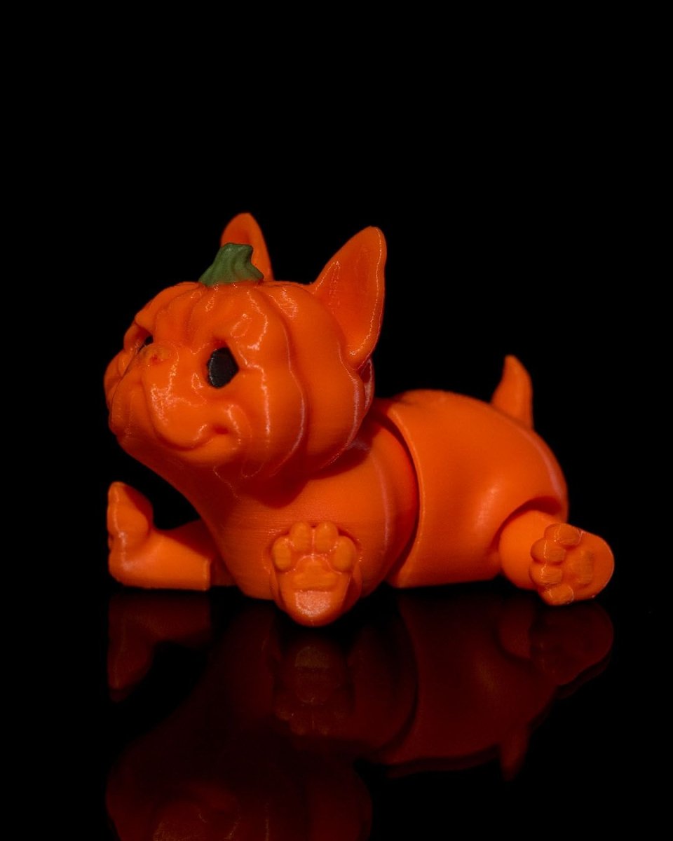Pumpkin Dog - The Phynagrin Show