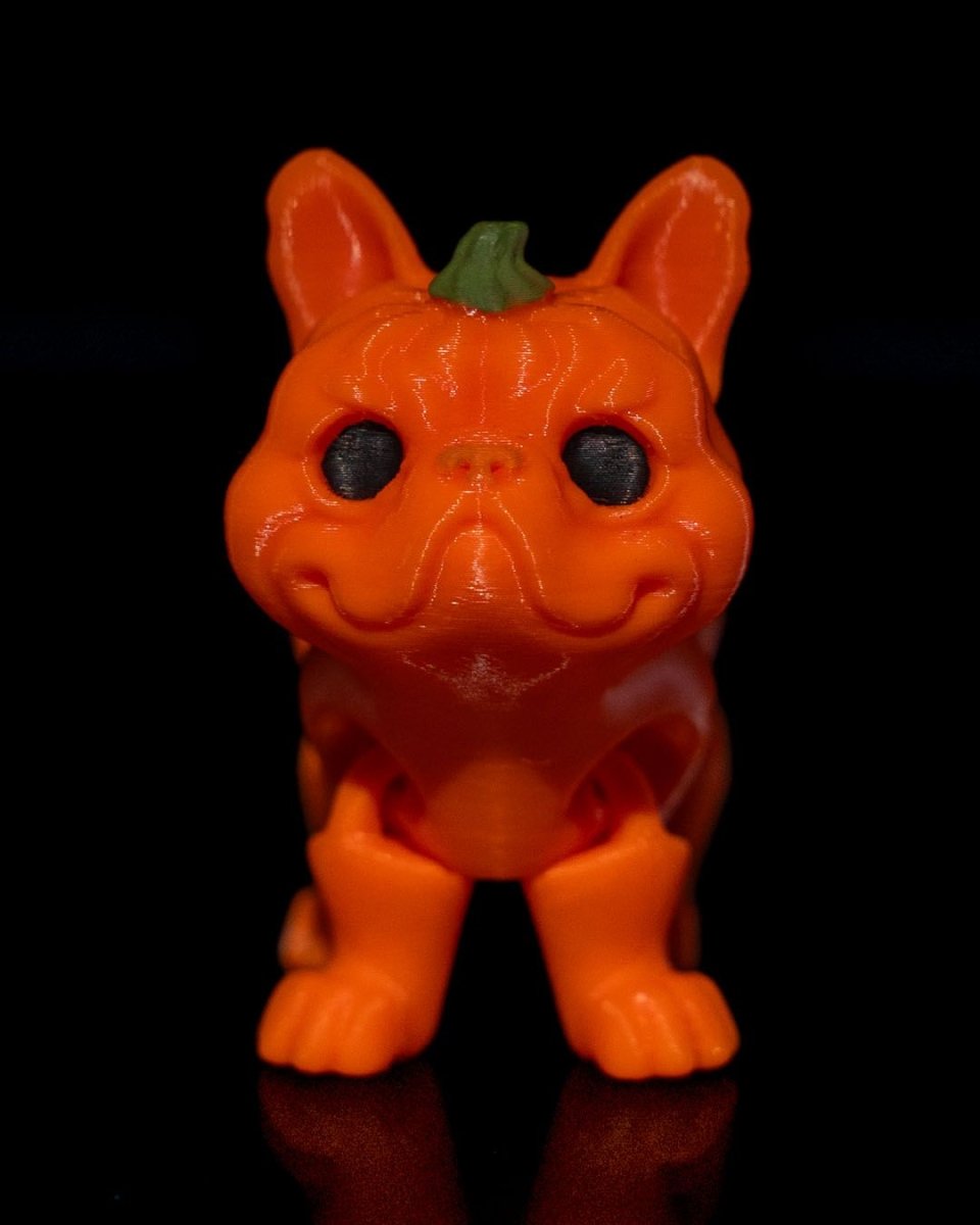 Pumpkin Dog - The Phynagrin Show