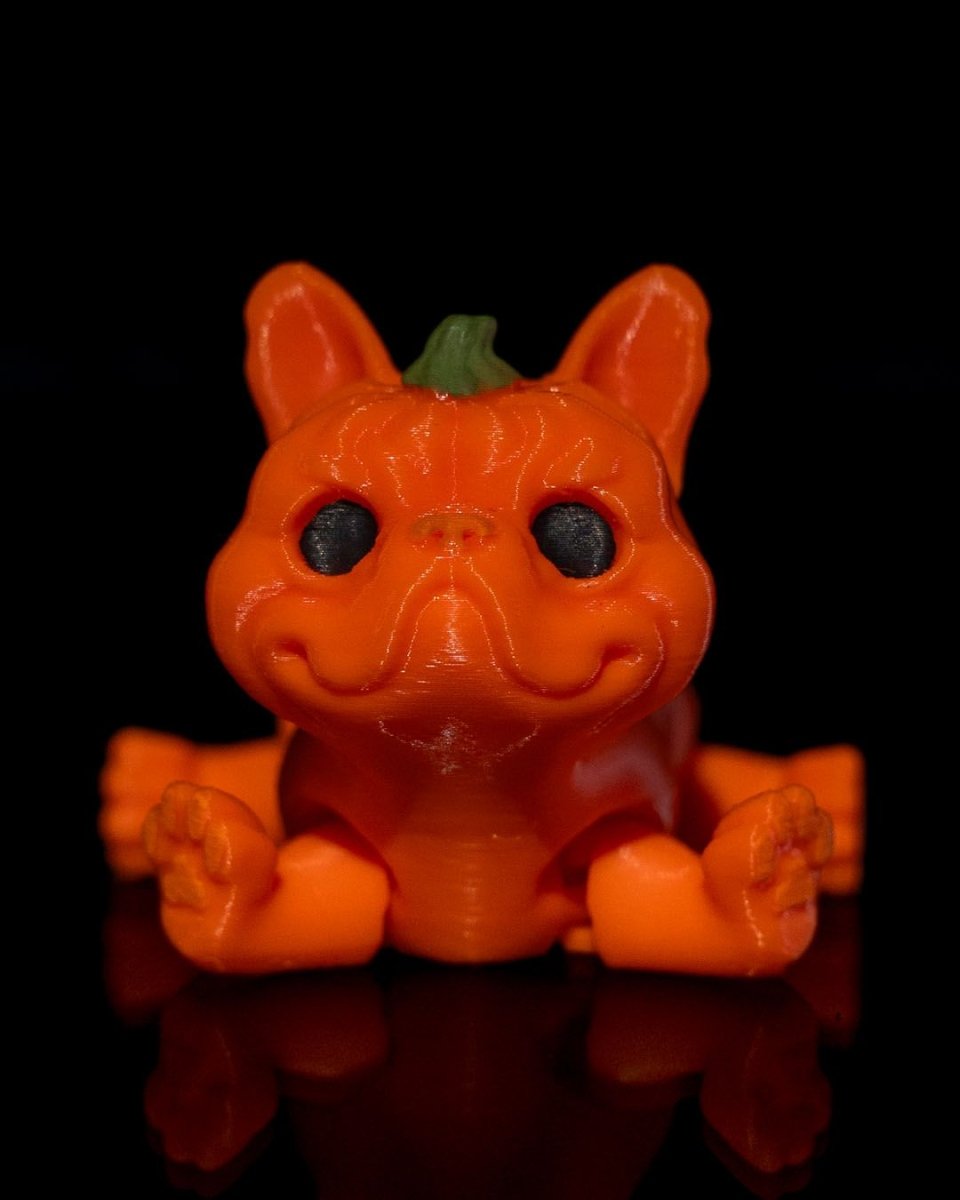 Pumpkin Dog - The Phynagrin Show
