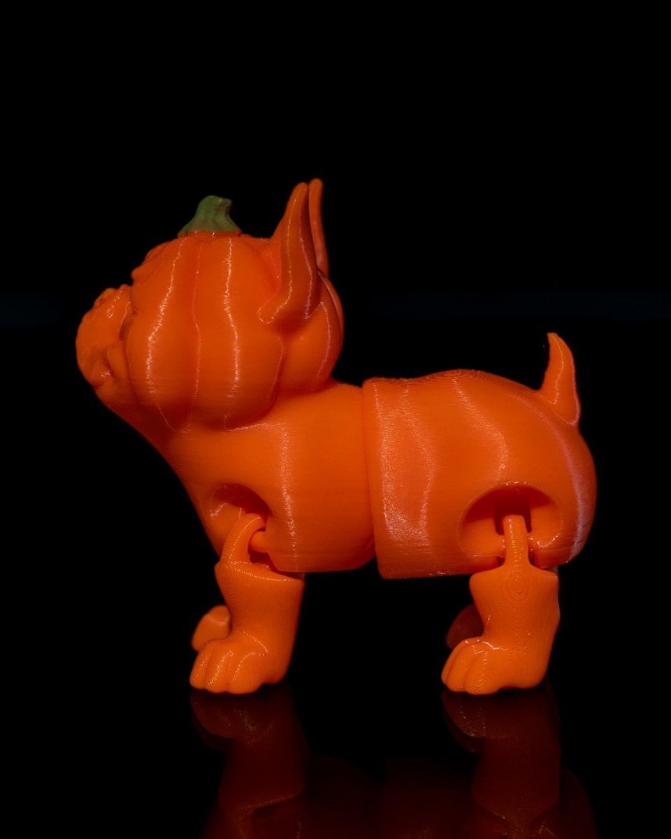 Pumpkin Dog - The Phynagrin Show