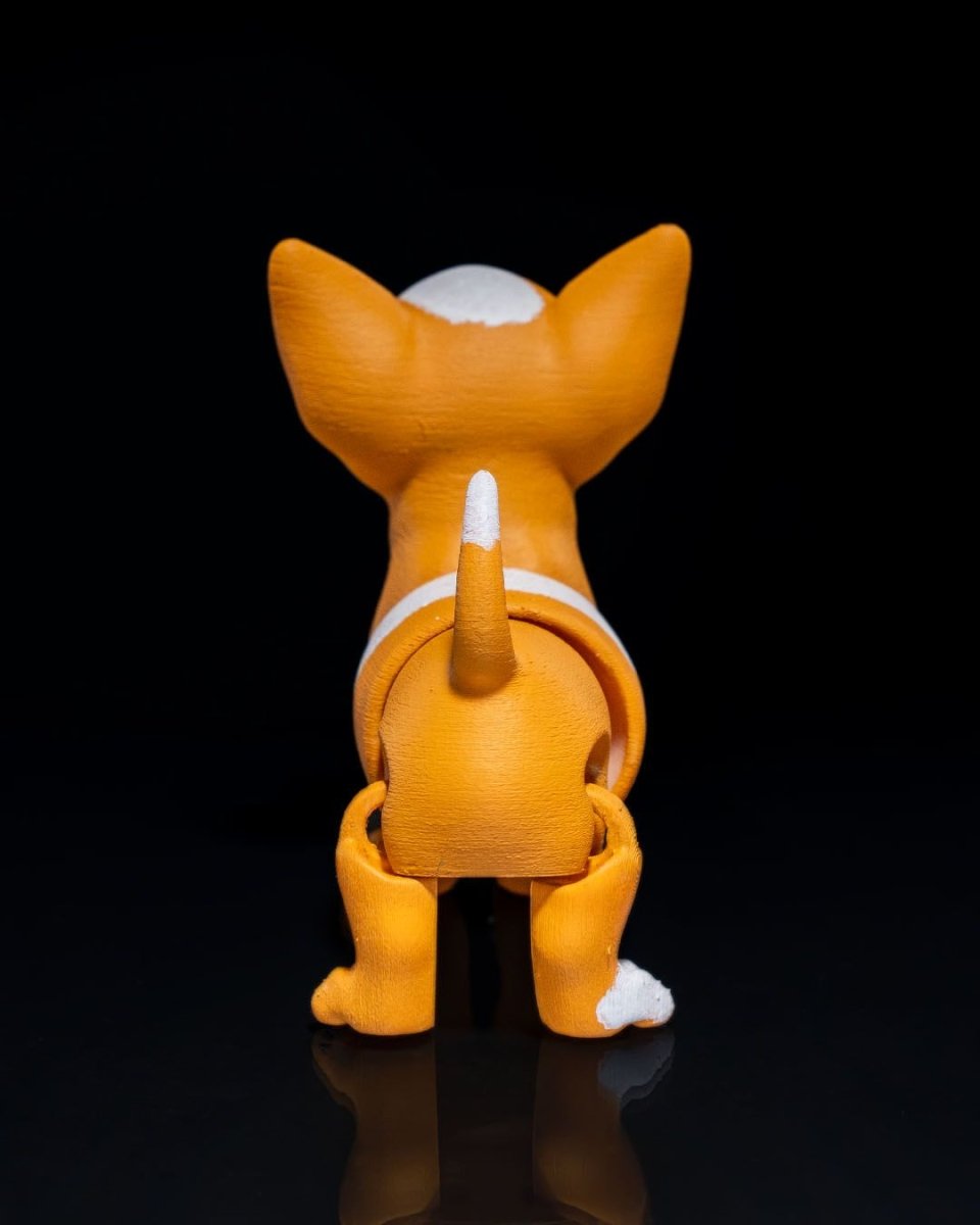 Richard the Chihuahua - The Phynagrin Show