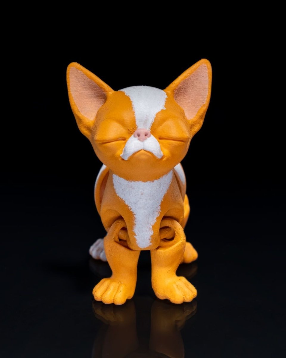 Richard the Chihuahua - The Phynagrin Show