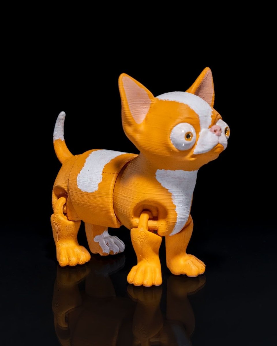 Richard the Chihuahua - The Phynagrin Show