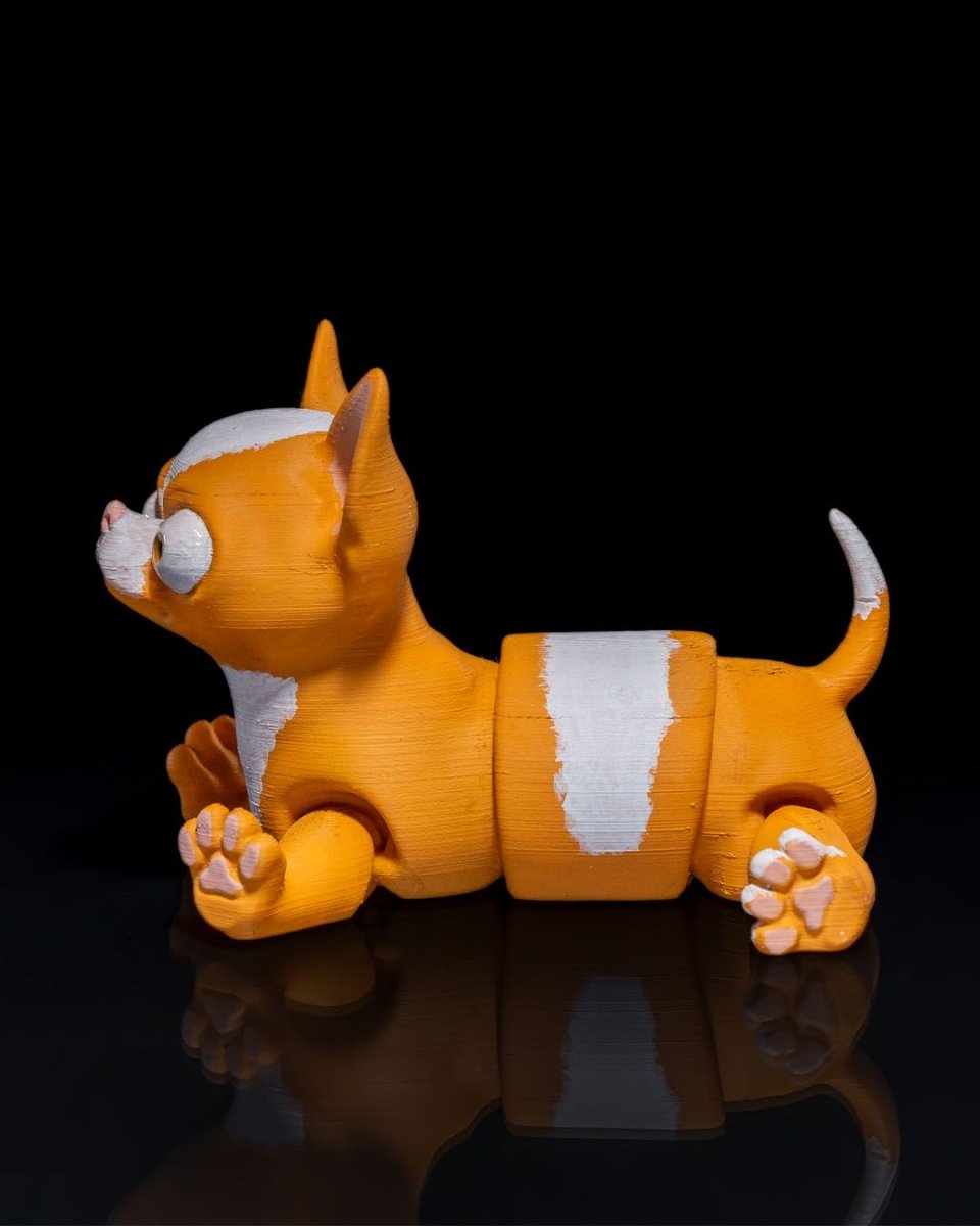 Richard the Chihuahua - The Phynagrin Show