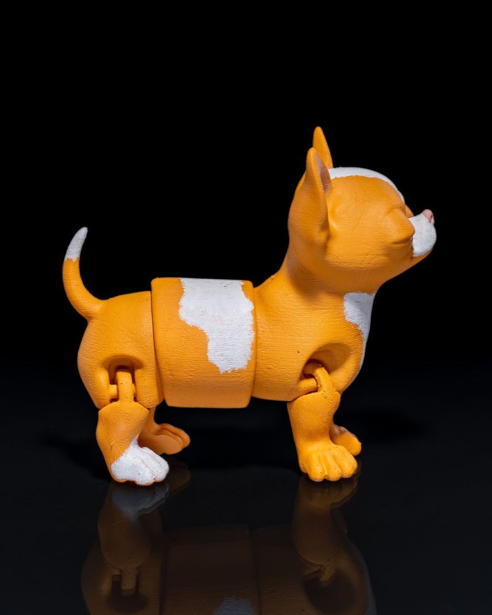 Richard the Chihuahua - The Phynagrin Show