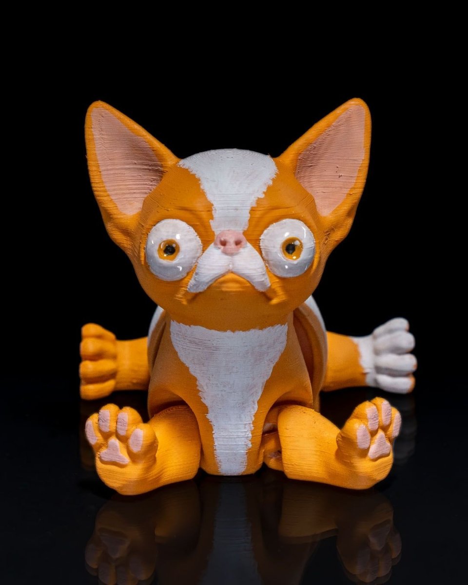 Richard the Chihuahua - The Phynagrin Show