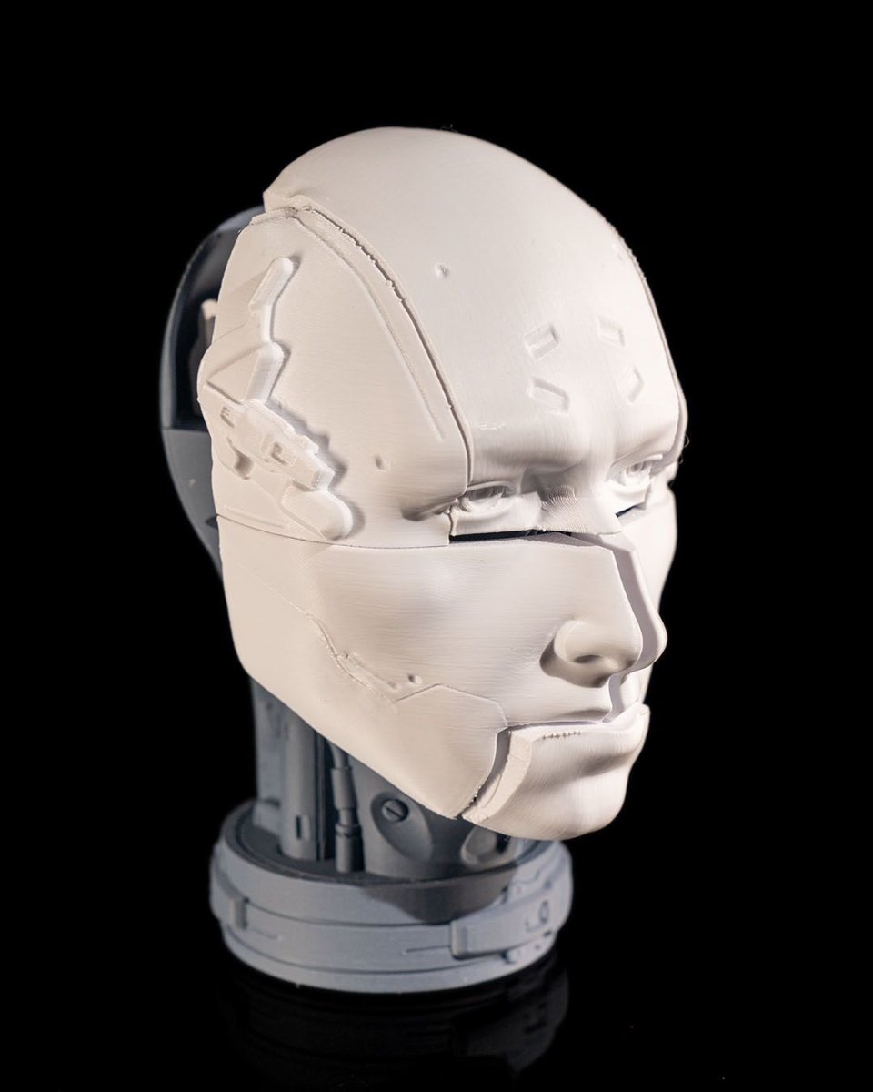 Robot Anatomy - The Phynagrin Show