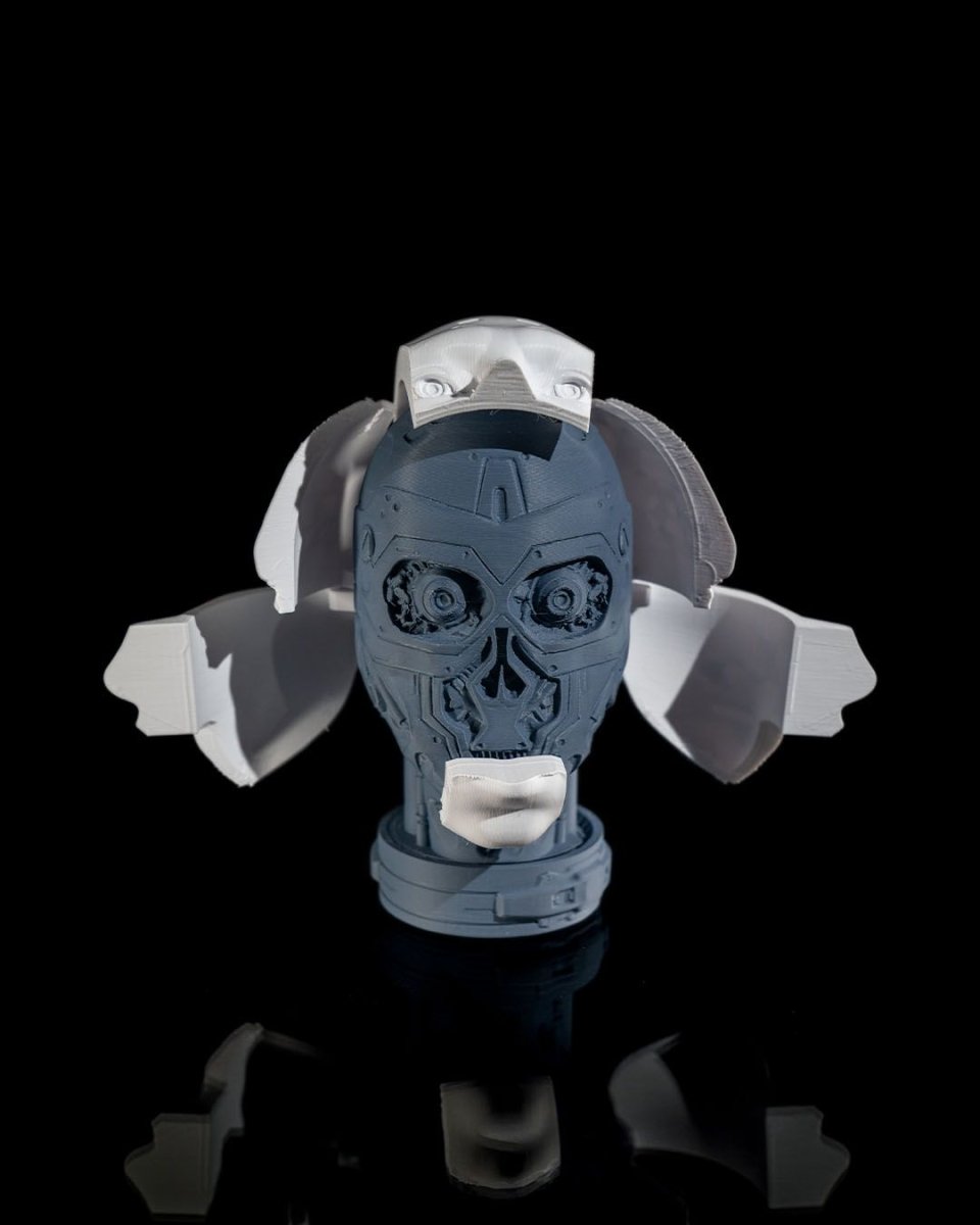 Robot Anatomy - The Phynagrin Show