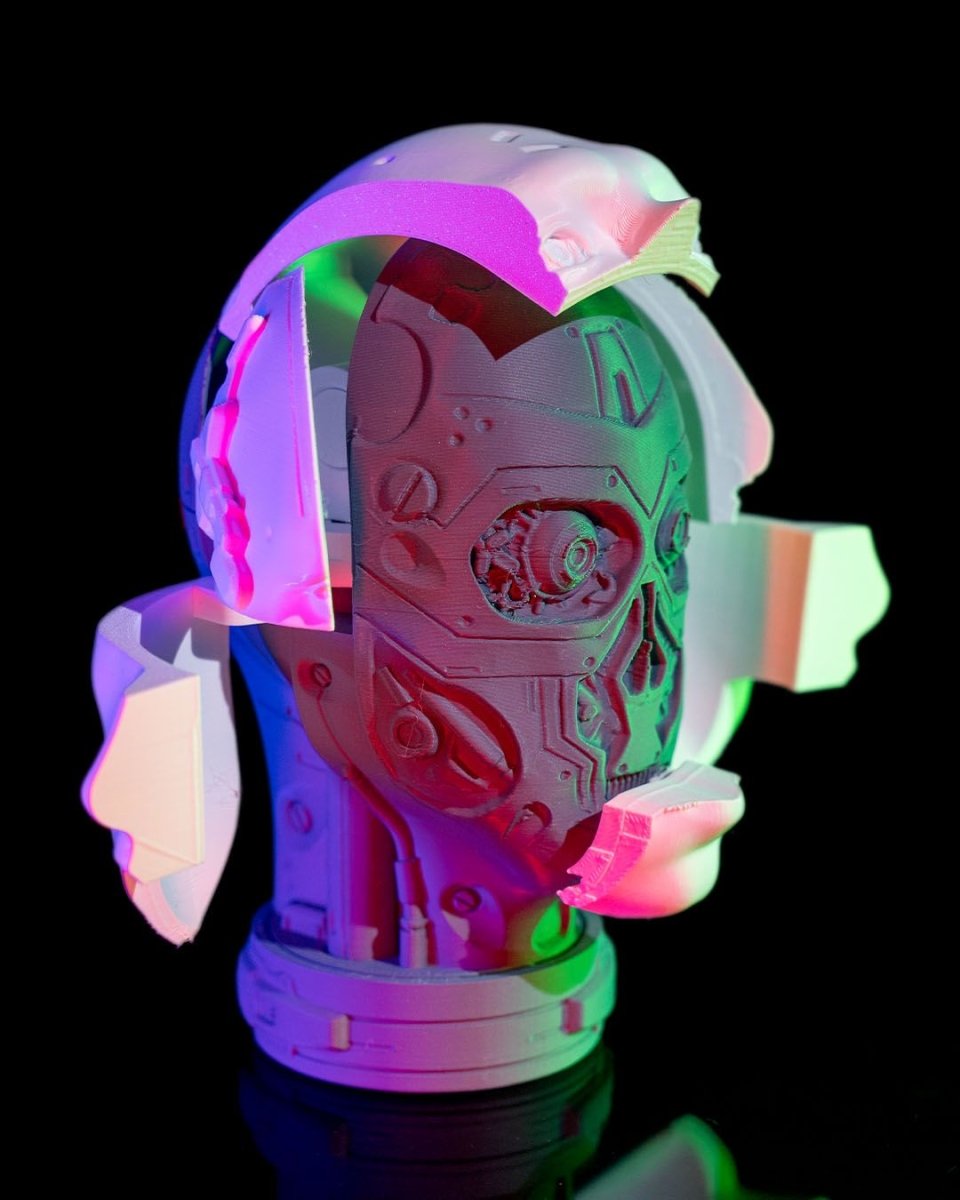 Robot Anatomy - The Phynagrin Show