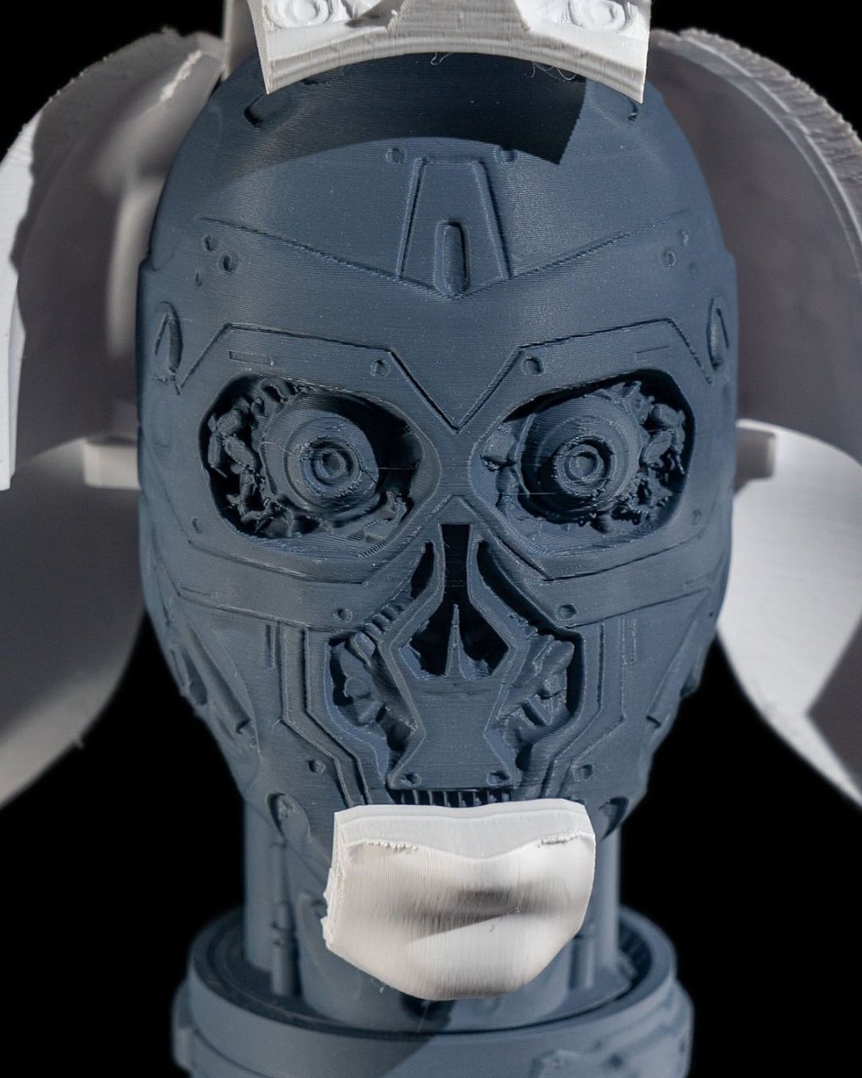 Robot Anatomy - The Phynagrin Show