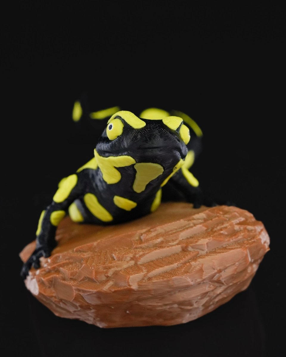 Salamander Statue - The Phynagrin Show