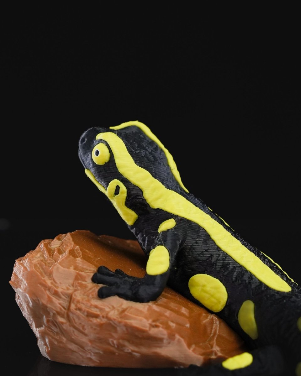 Salamander Statue - The Phynagrin Show