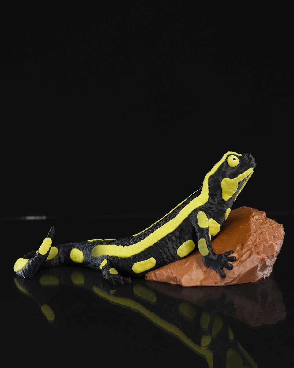 Salamander Statue - The Phynagrin Show