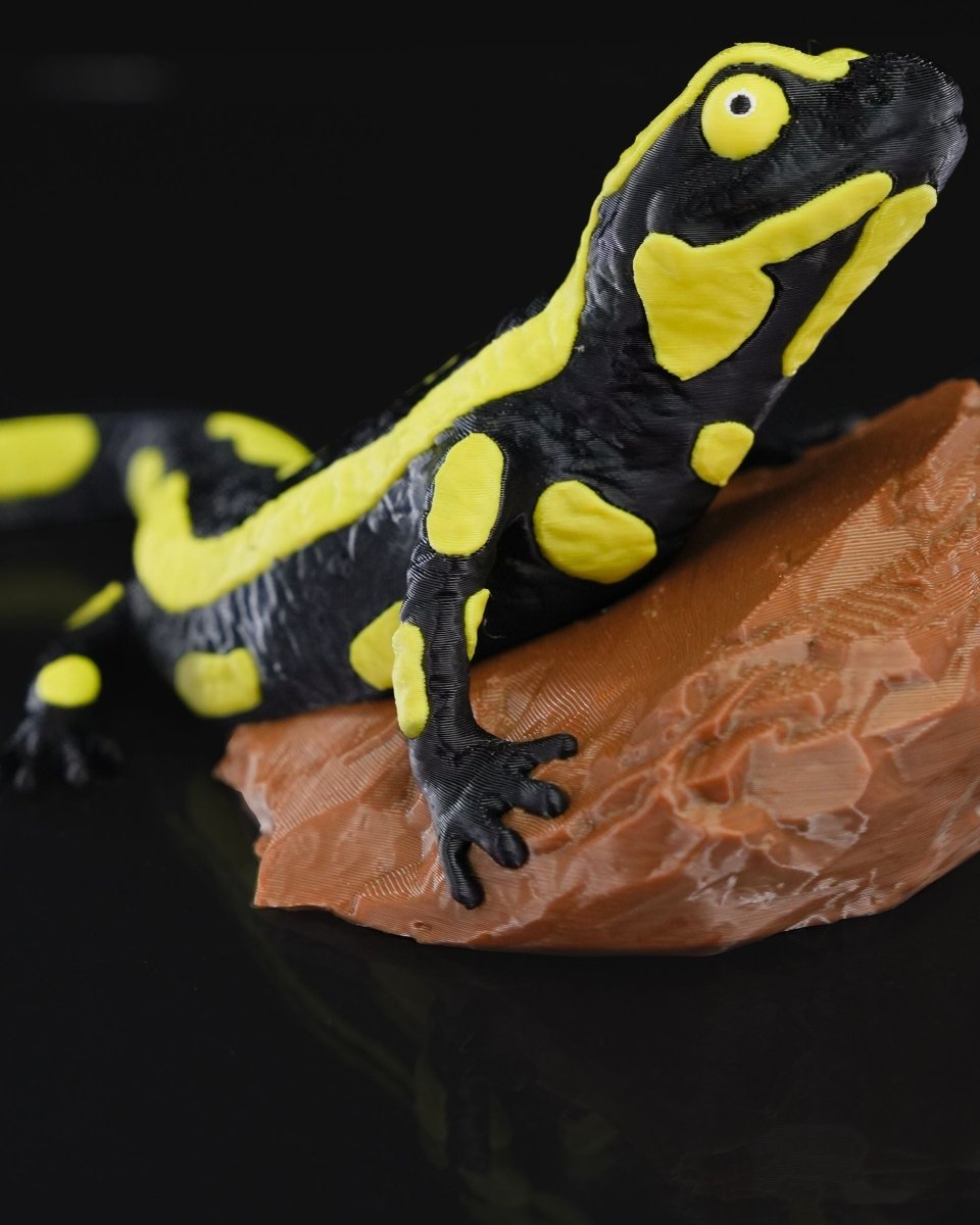 Salamander Statue - The Phynagrin Show