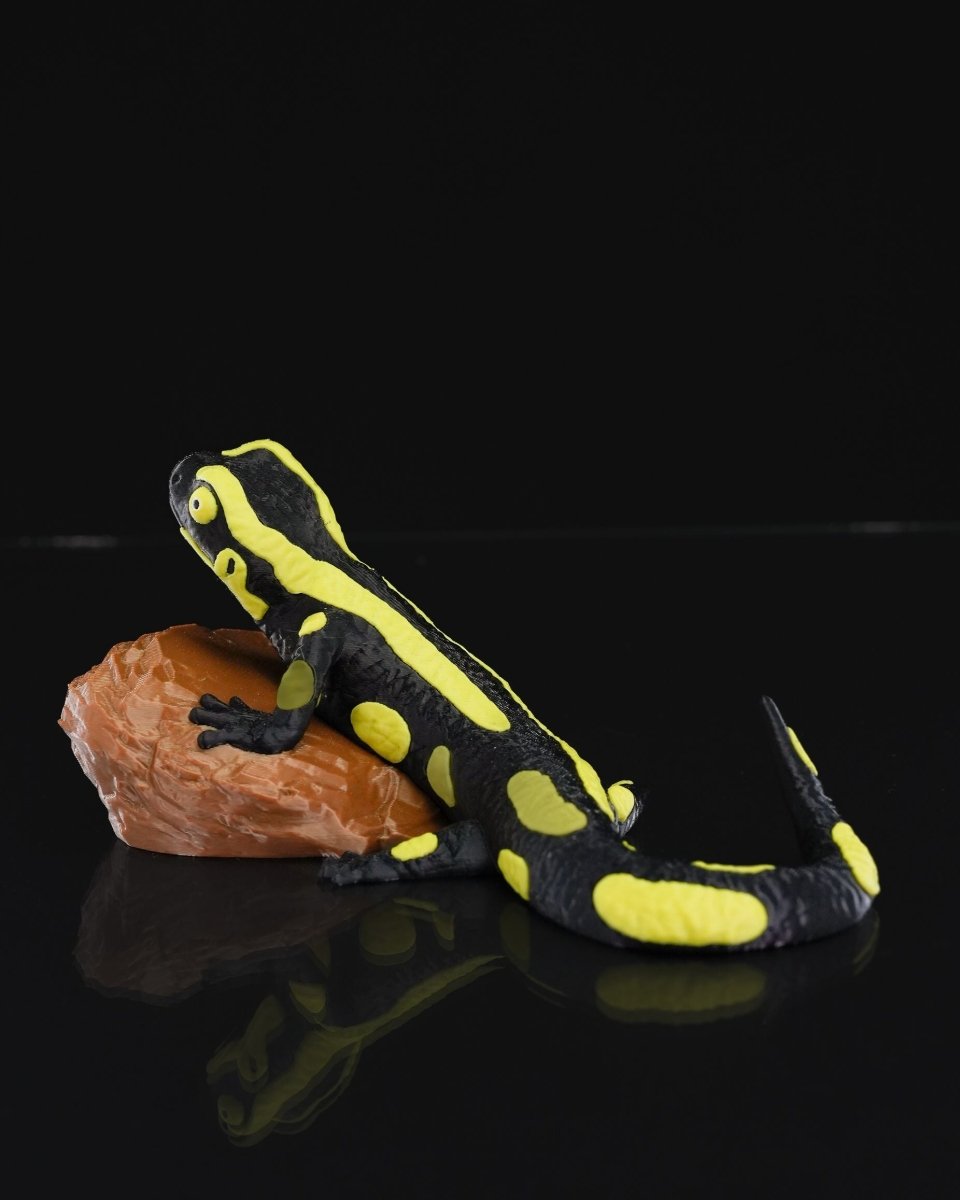 Salamander Statue - The Phynagrin Show