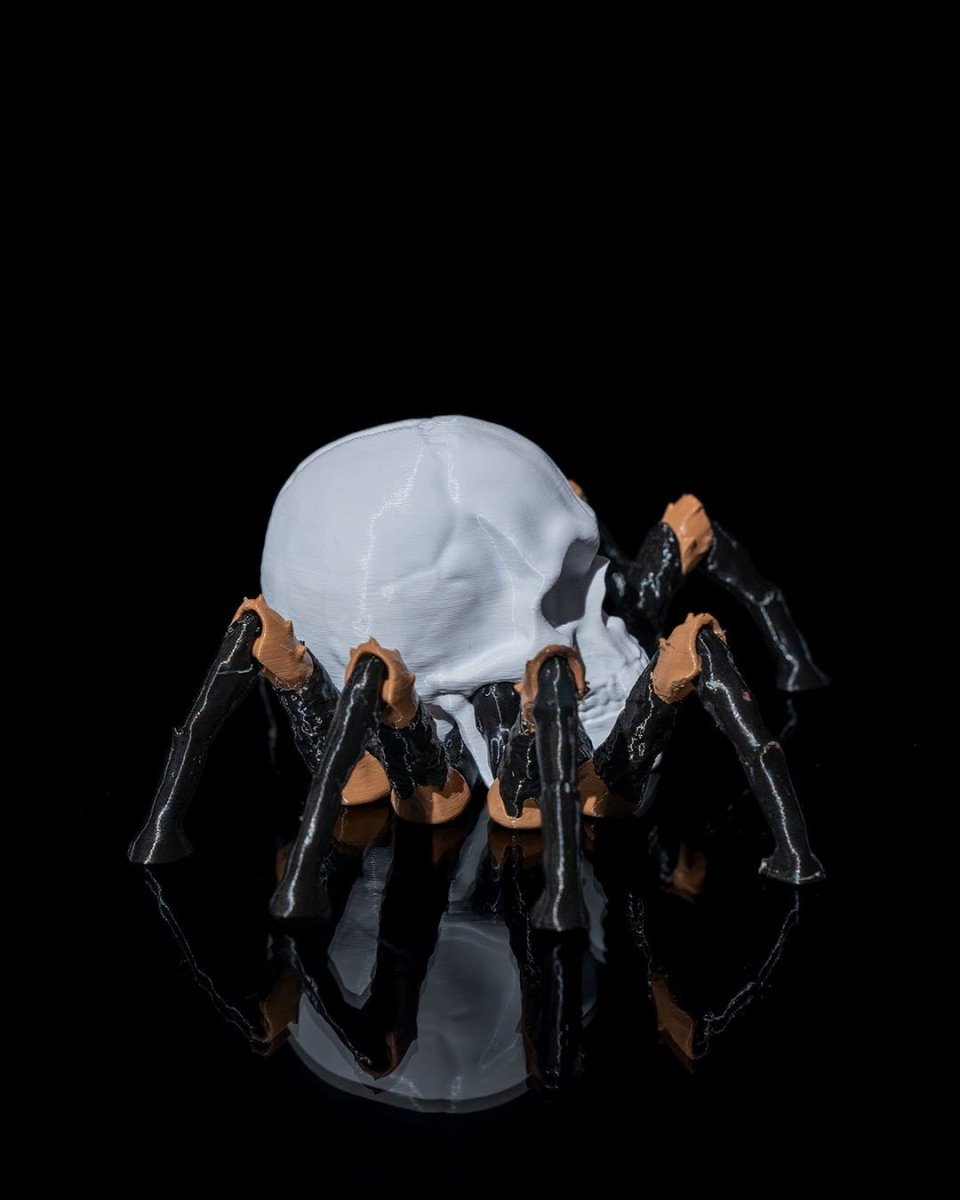 Skull Spider - The Phynagrin Show